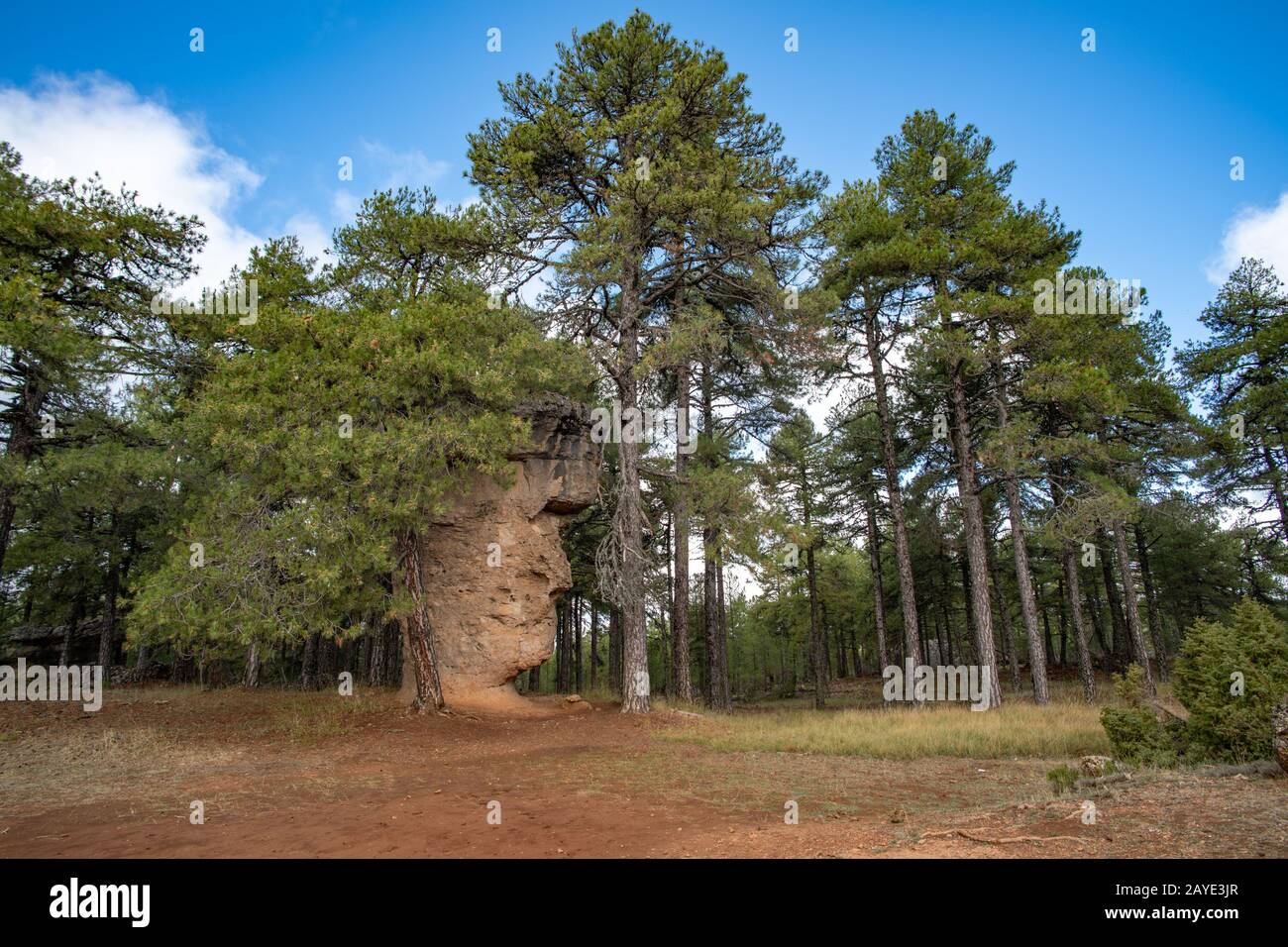 Formations rocheuses uniques dans la Ciudad Encantada ou ville enchantée parc naturel près de Cuenca, Castilla la Mancha, Espagne Banque D'Images