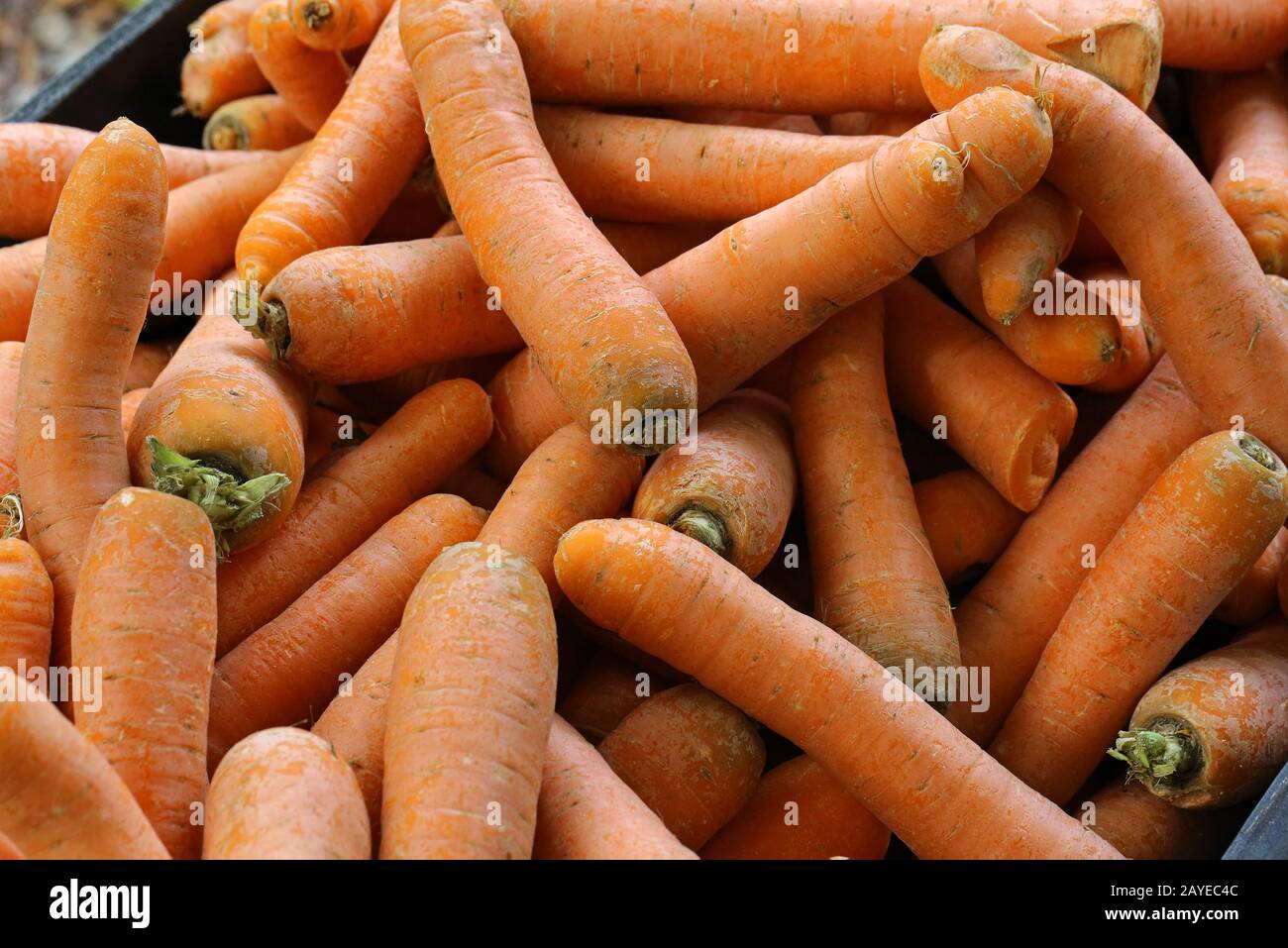 jus de carotte Banque D'Images