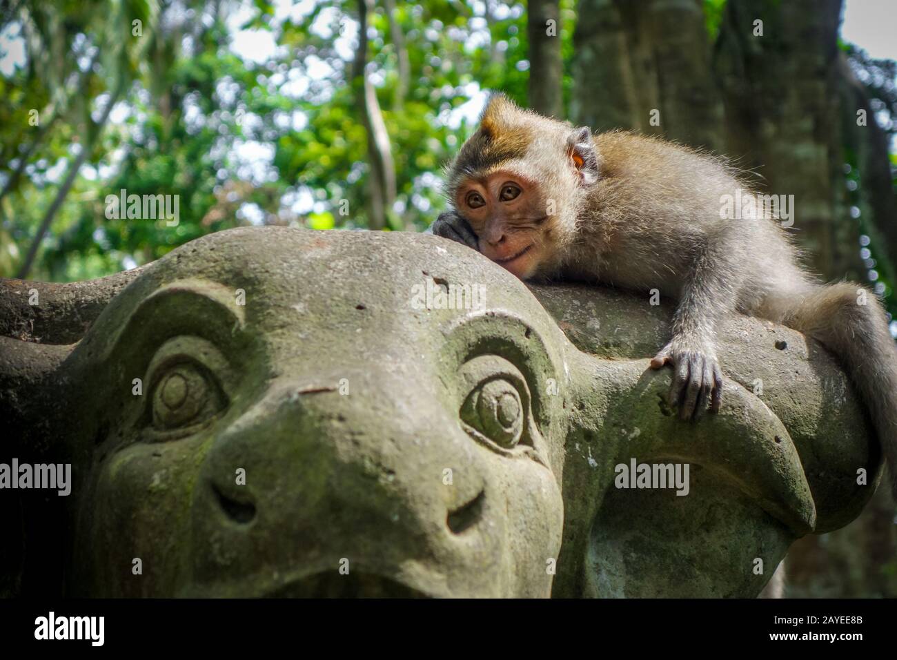 Singe sur une statue de vache dans la forêt des singes, Ubud, Bali, Indonésie Banque D'Images