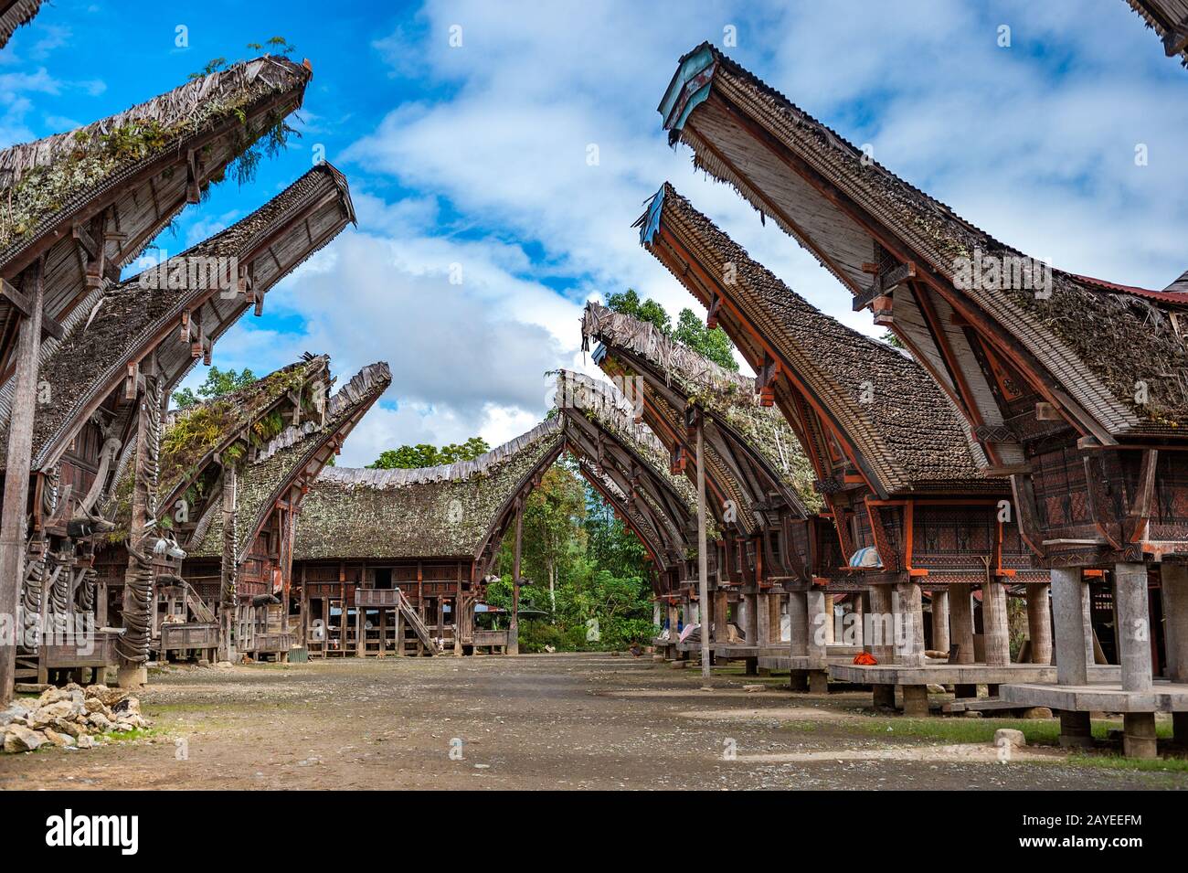 Maisons Tongkonan, bâtiments traditionnels Torajan, Tana Toraja, Sulawesi, Indonésie Banque D'Images