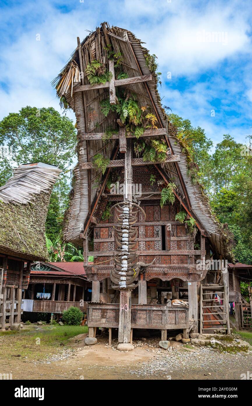 Maisons Tongkonan, bâtiments traditionnels Torajan, Tana Toraja, Sulawesi, Indonésie Banque D'Images