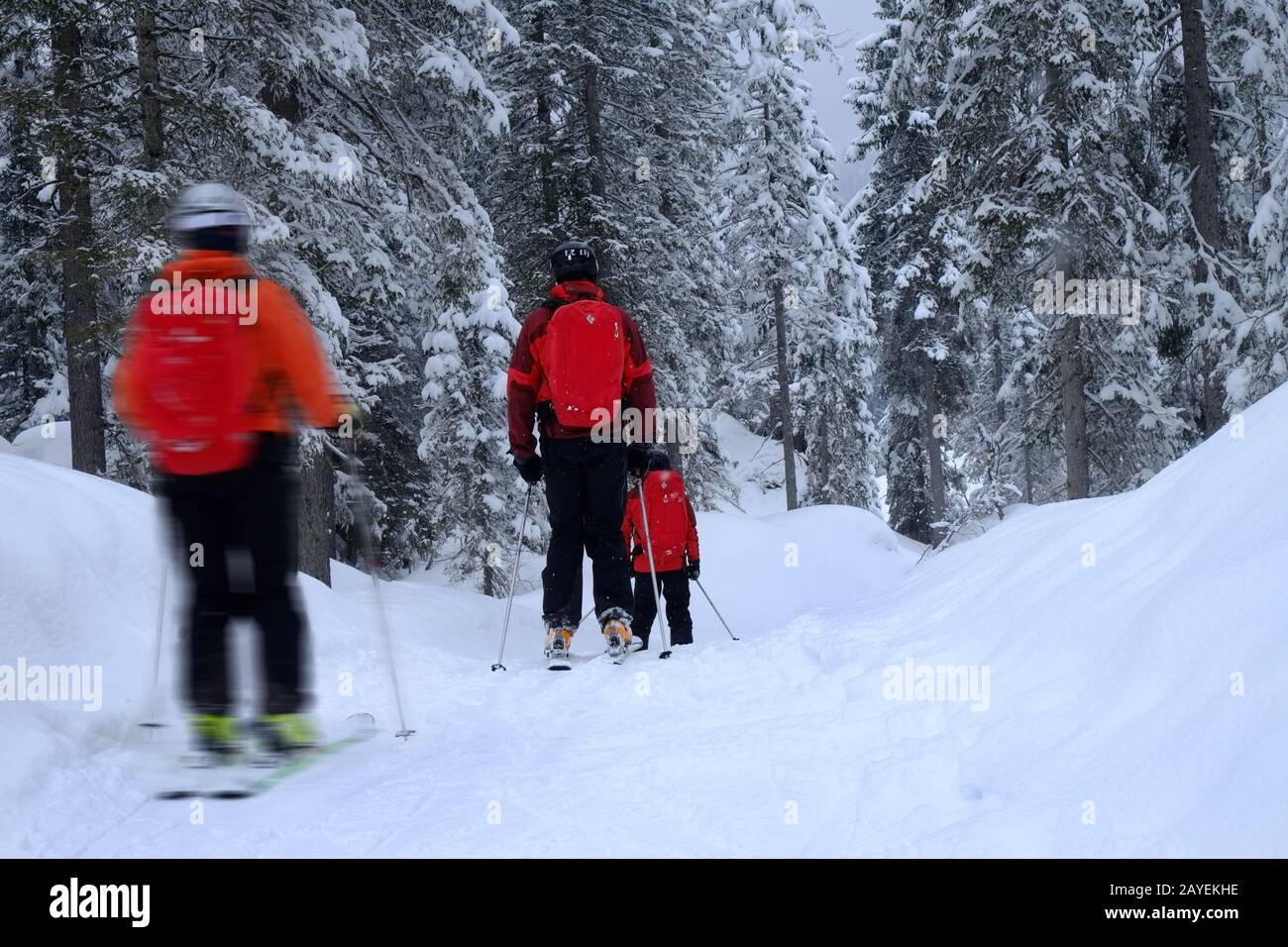 Randonneurs de ski Banque D'Images