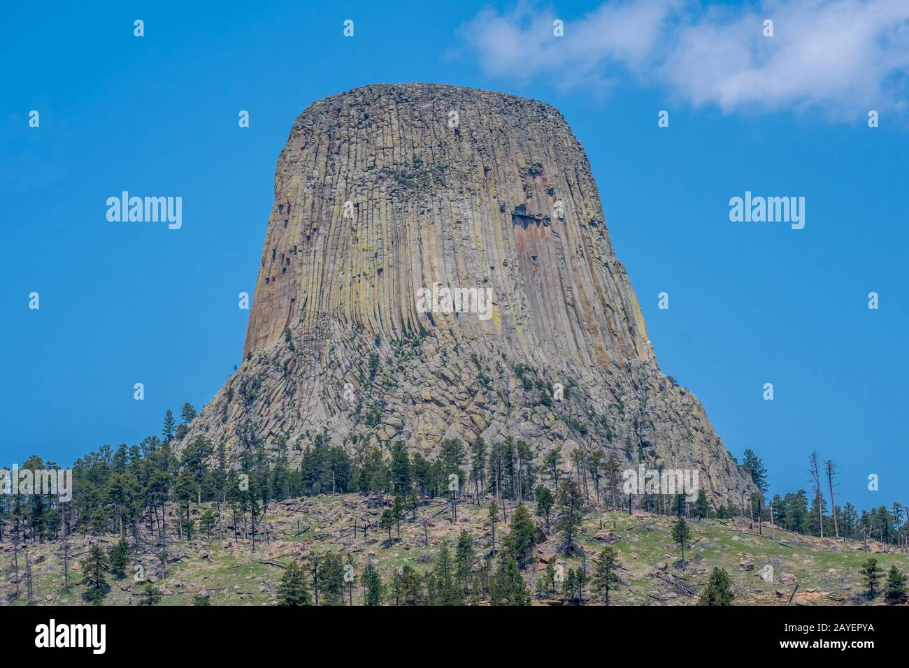 L'infâme Devils Tower National Monument au Wyoming Banque D'Images