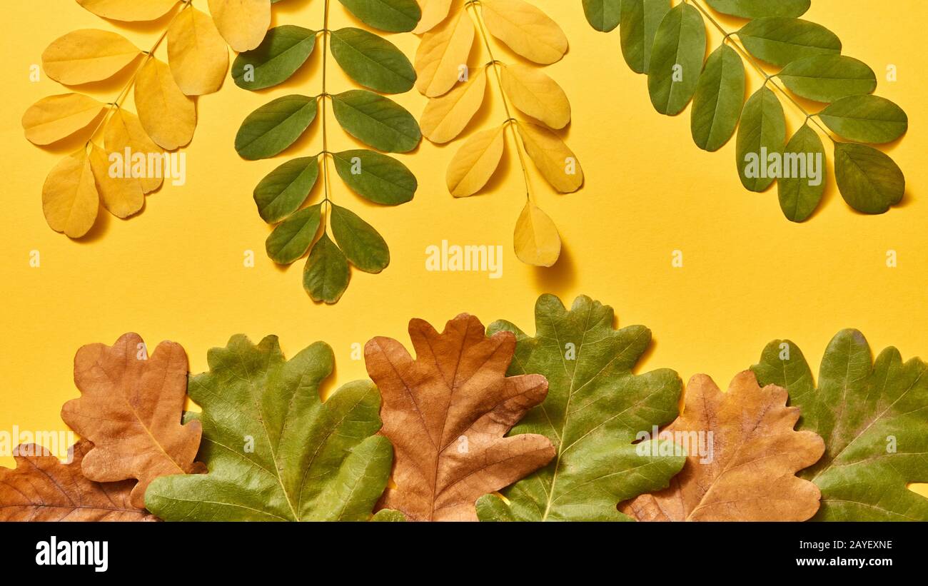 Motif original de l'automne à partir de feuilles colorées pour l'accueil. Banque D'Images
