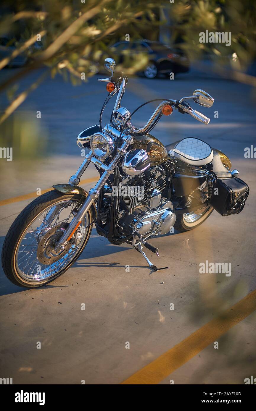 Harley davidson custom chopper Banque de photographies et d’images à ...