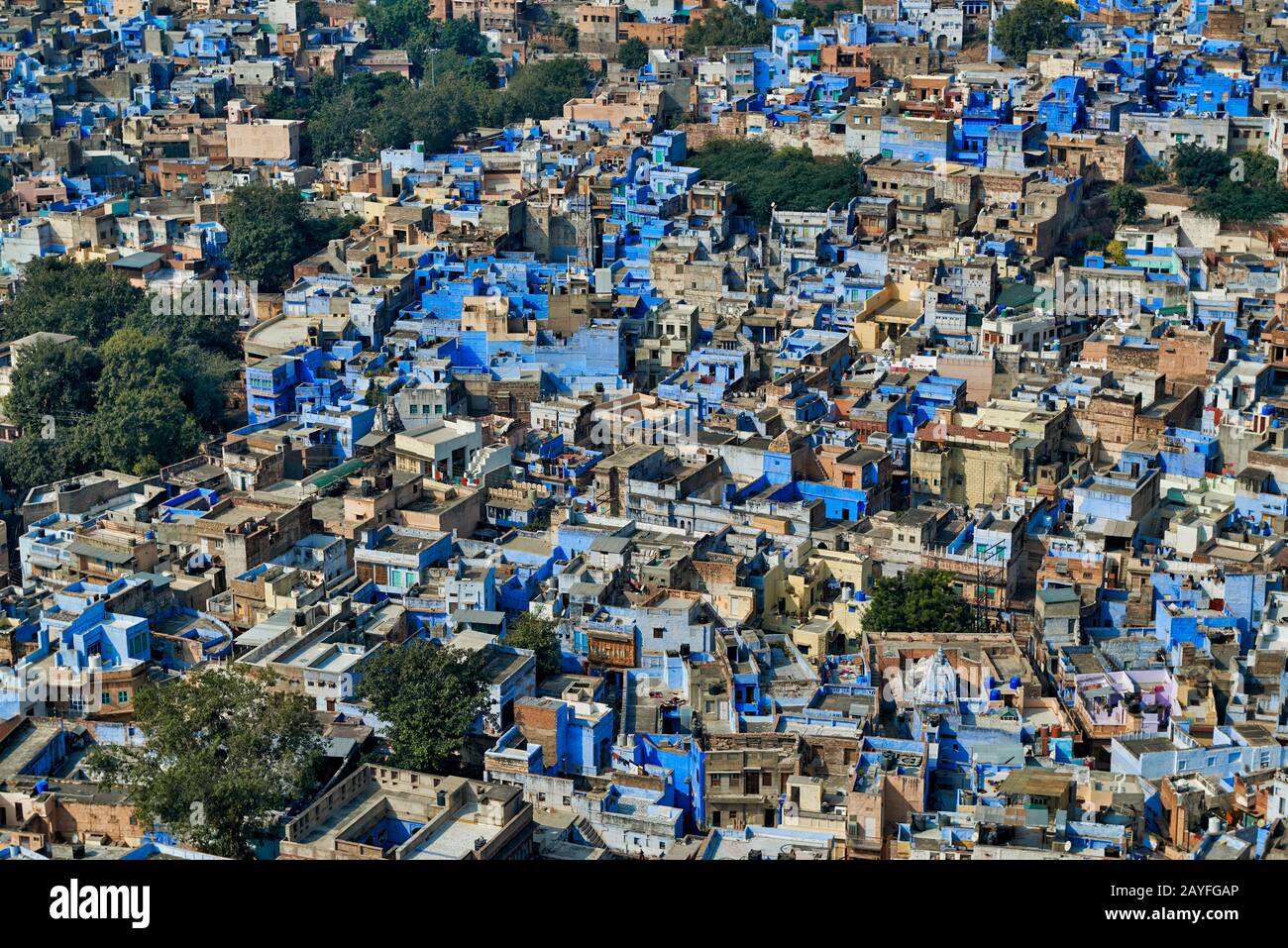 Vue aérienne de la ville bleue Jodhpur, Rajasthan, India Banque D'Images