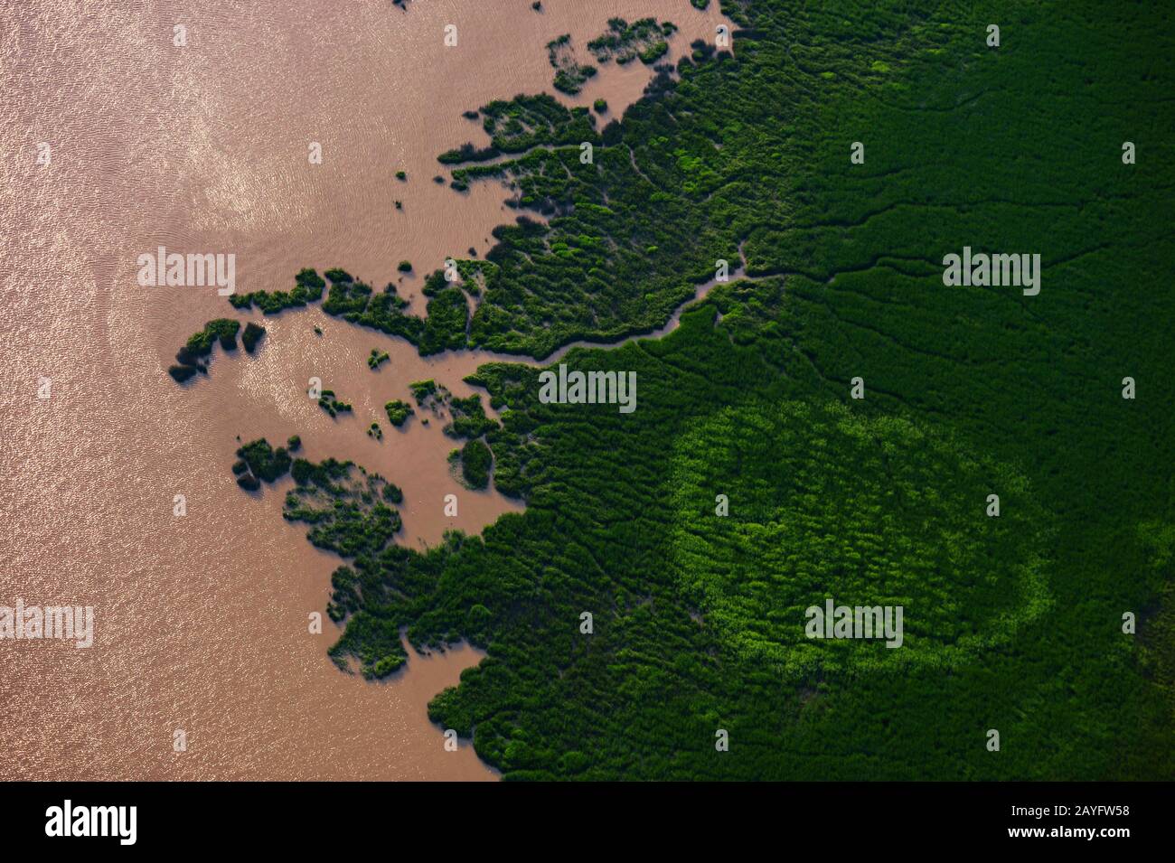 Vue Arial des plaines inondées d'Elbe, Allemagne, Schleswig-Holstein Banque D'Images