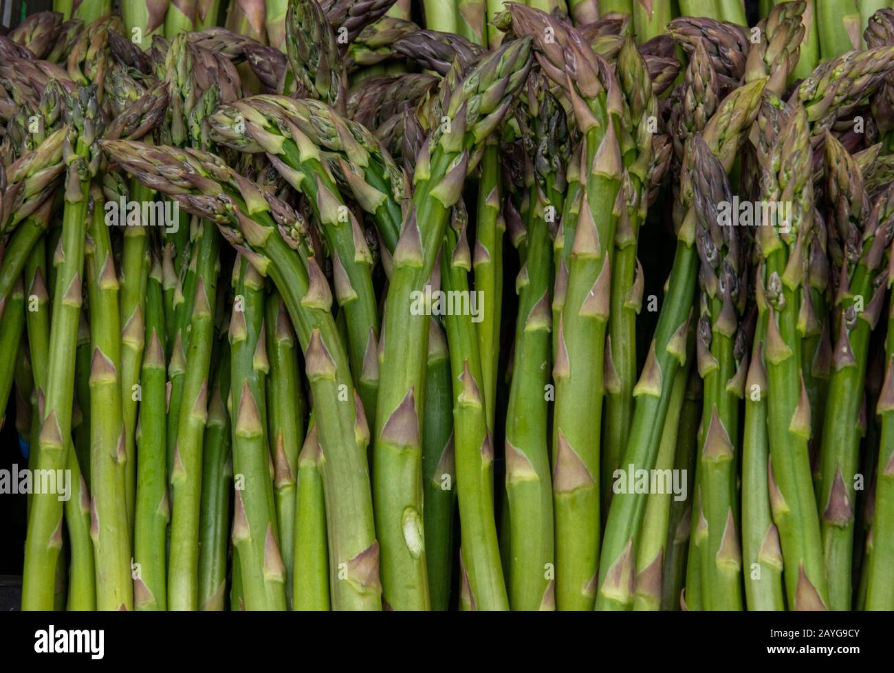 Les tiges et les tiges d'asperges fraîchement coupées et exposées dans un stand de jardiniers dans un marché. Banque D'Images