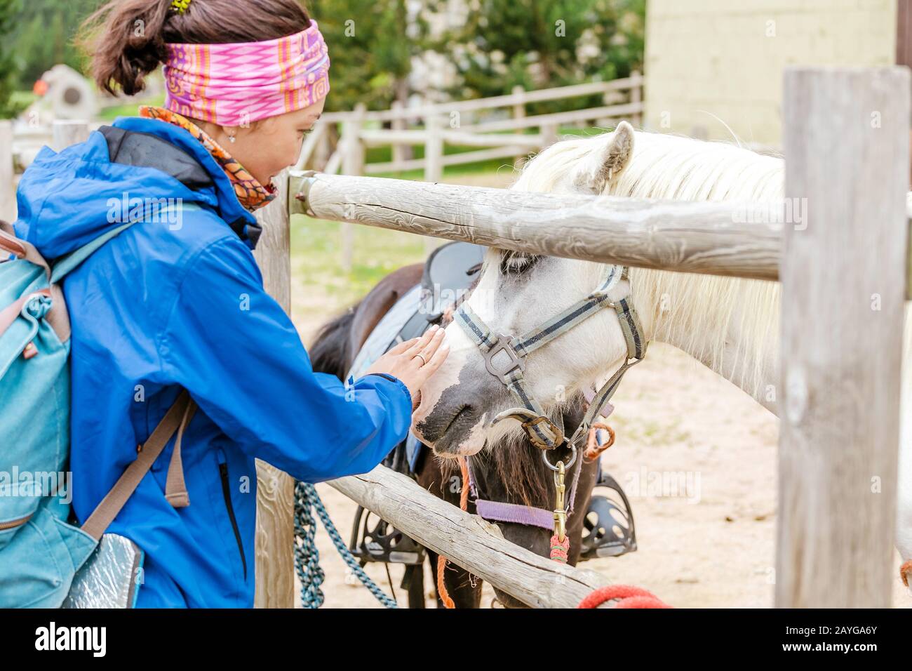La femme touche un petit cheval de poney. Animaux en contact avec le zoo ou la ferme agricole Banque D'Images