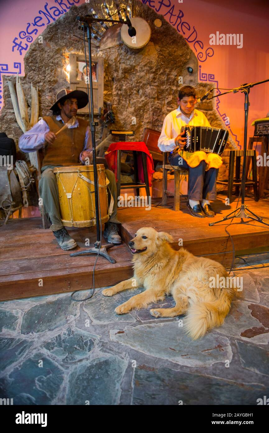 Chien se reposant devant un groupe local jouant de la musique traditionnelle dans un restaurant dans le petit village de Purmamarca, province de Jujuy, Argentine. Banque D'Images