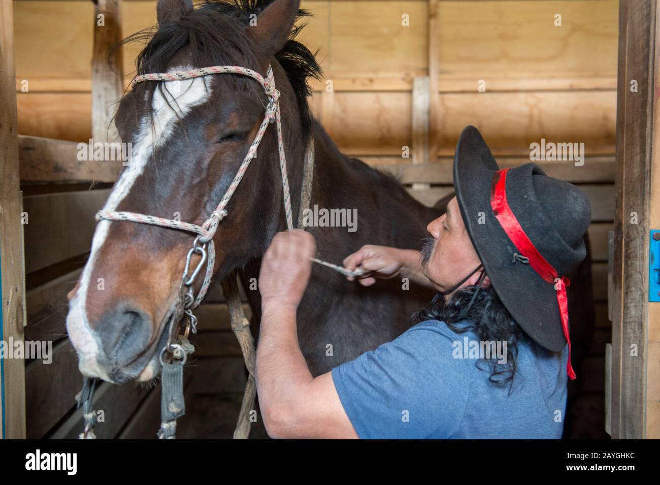 Un gaucho prépare un cheval pour une promenade près du parc national de Torres del Paine, dans le sud du Chili. Banque D'Images