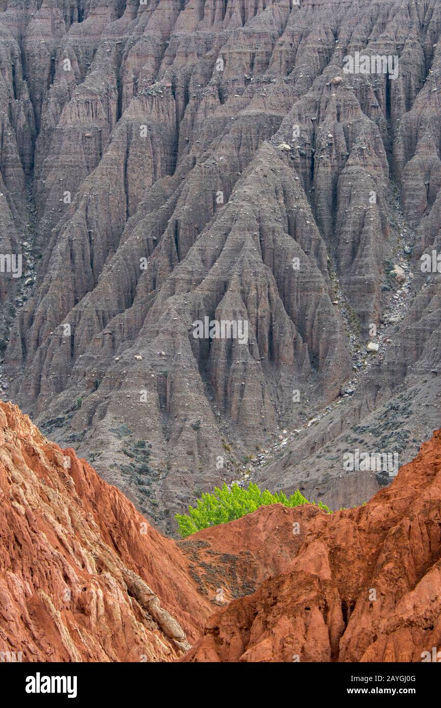 Formations rocheuses colorées créées par l'érosion dans les Andes près de Purmamarca, province de Jujuy, Argentine. Banque D'Images