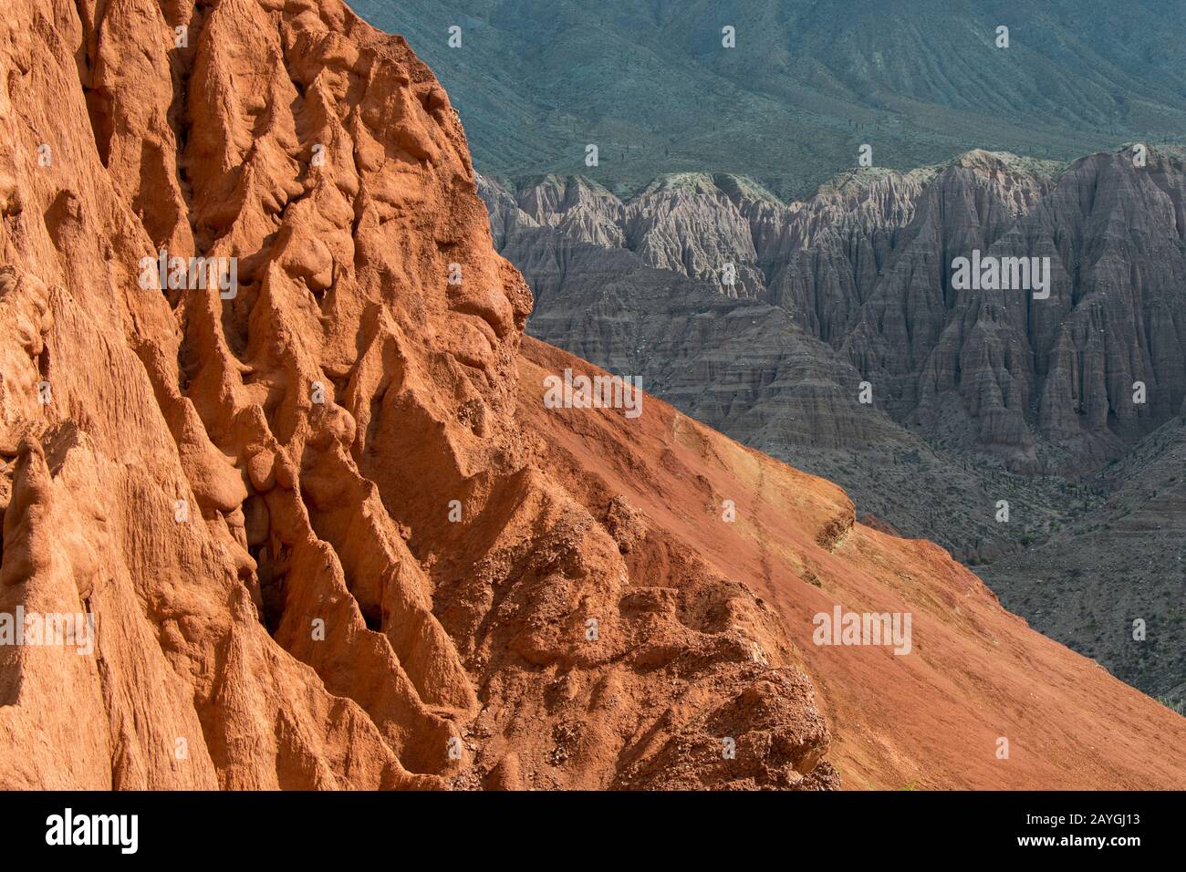 Détail des formations rocheuses colorées créées par l'érosion dans les Andes près de Purmamarca, province de Jujuy, Argentine. Banque D'Images