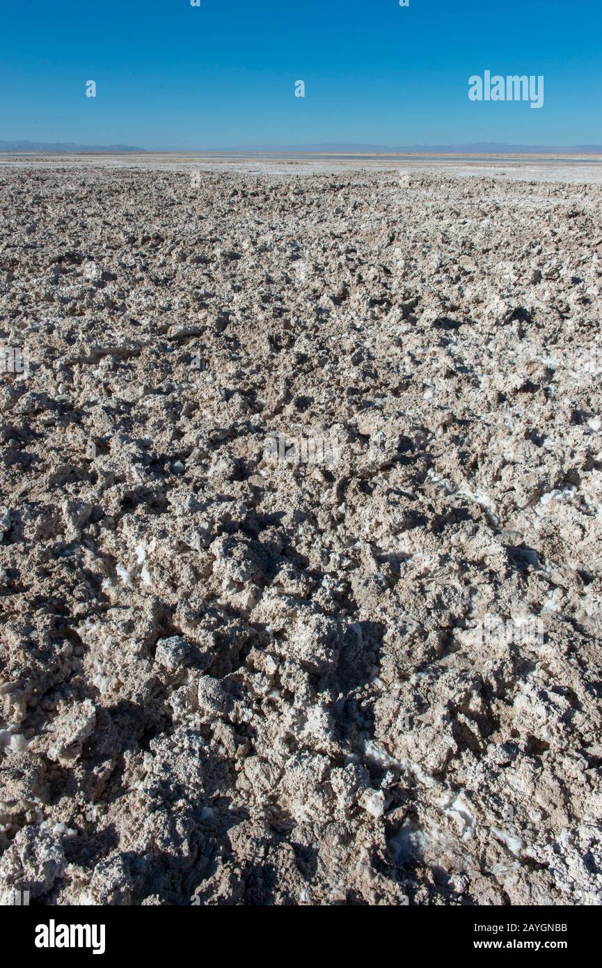 Le sol de la lagune de Chexa est incrusté de sel, qui est un écosystème unique de lacs salés et de sites de reproduction de flamants dans la section Soncor de Los Banque D'Images