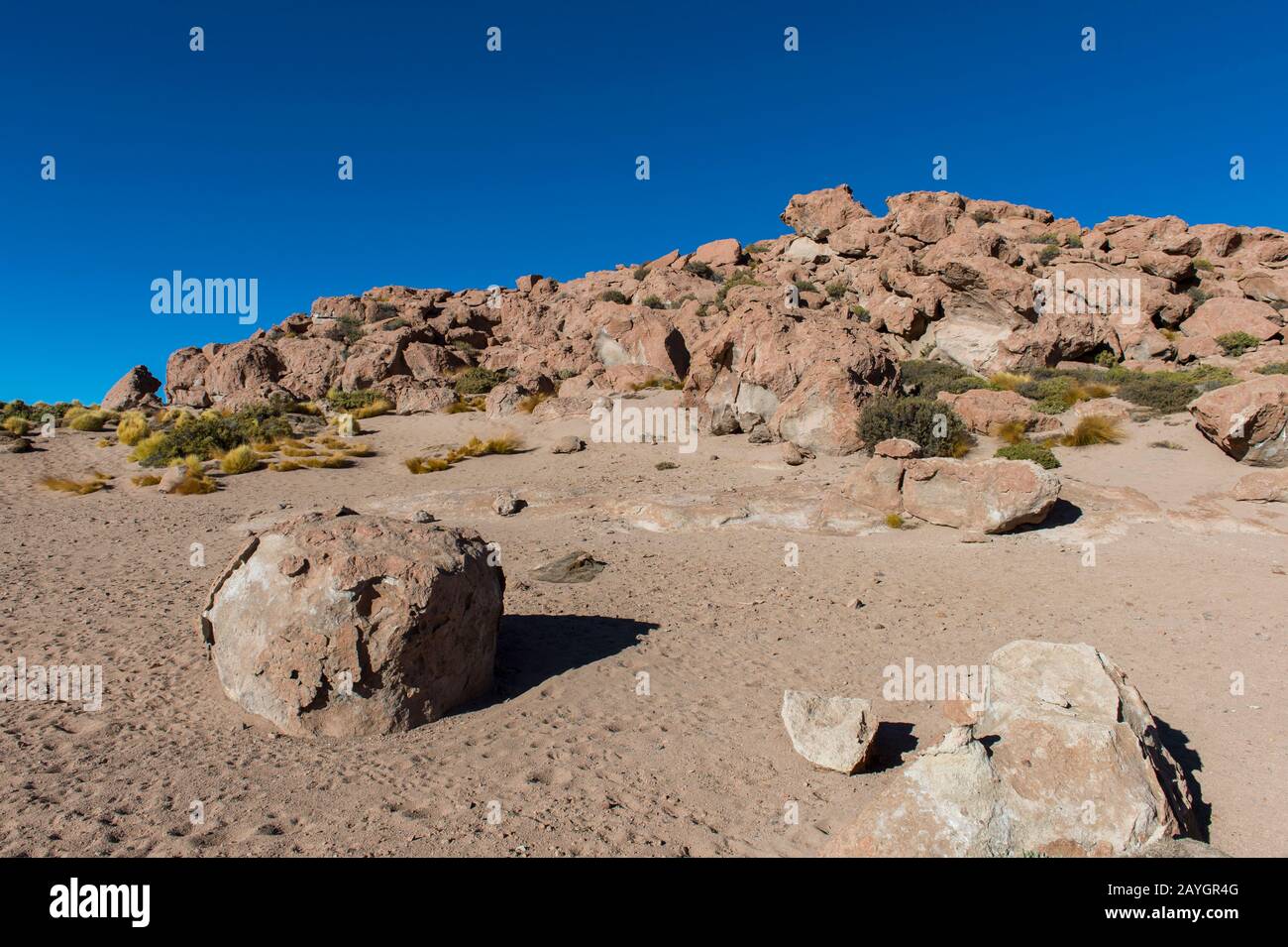 Paysage rocheux près de Laguna Machuca dans le désert d'Atacama près de San Pedro de Atacama, dans le nord du Chili. Banque D'Images