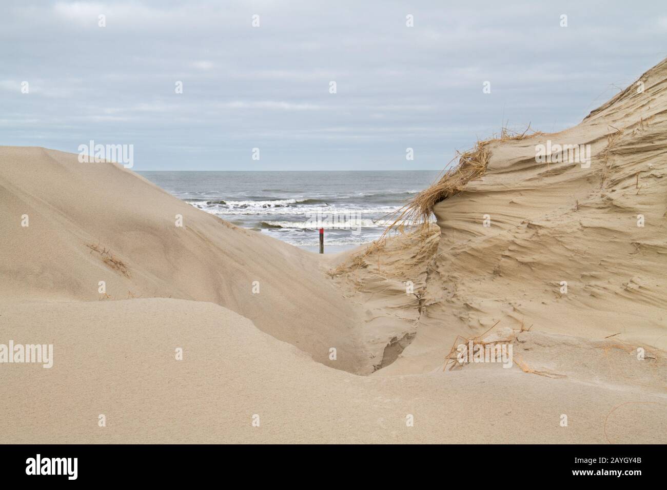 Vue sur la plage avec un poteau de plage et la mer du Nord entre deux dunes Banque D'Images