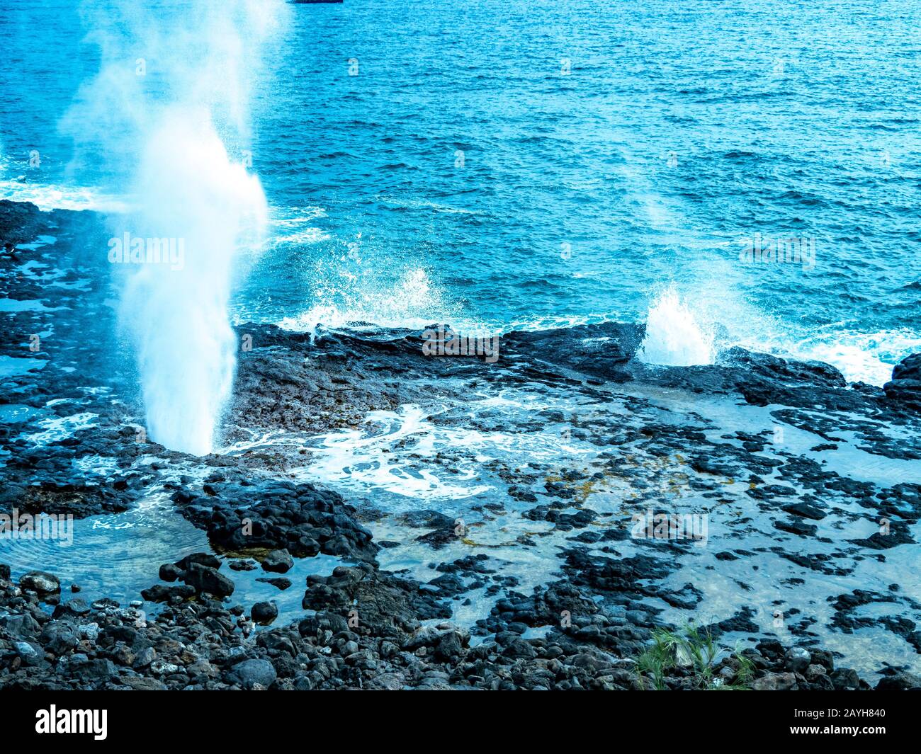 Trous de lave à Hawaï. L'océan érode la clayette de lave sous l'eau, puis souffle à travers des trous dans le haut. Banque D'Images