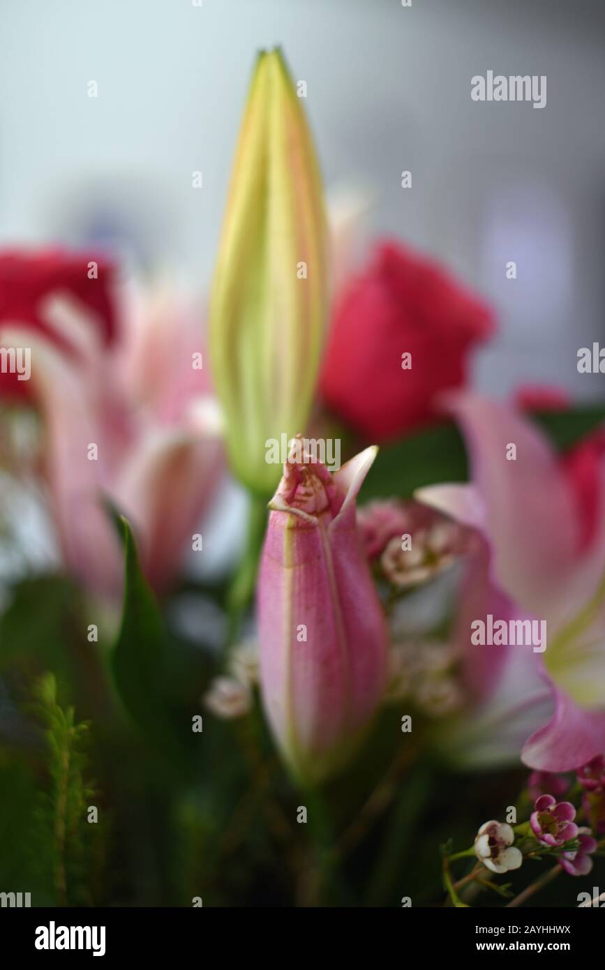Arrangement De Roses Et De Fleurs De Lys Banque D'Images