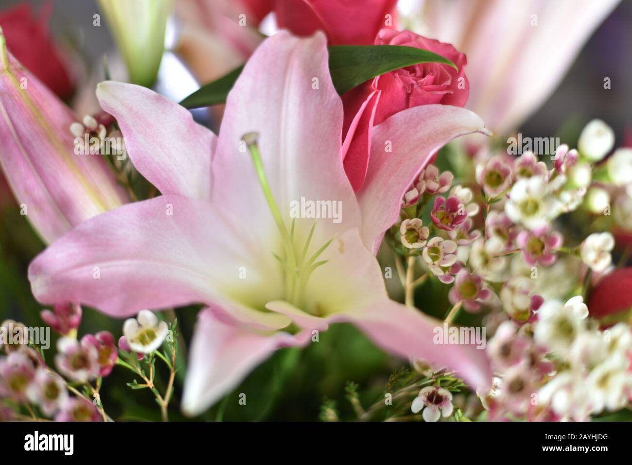 Arrangement De Roses Et De Fleurs De Lys Banque D'Images