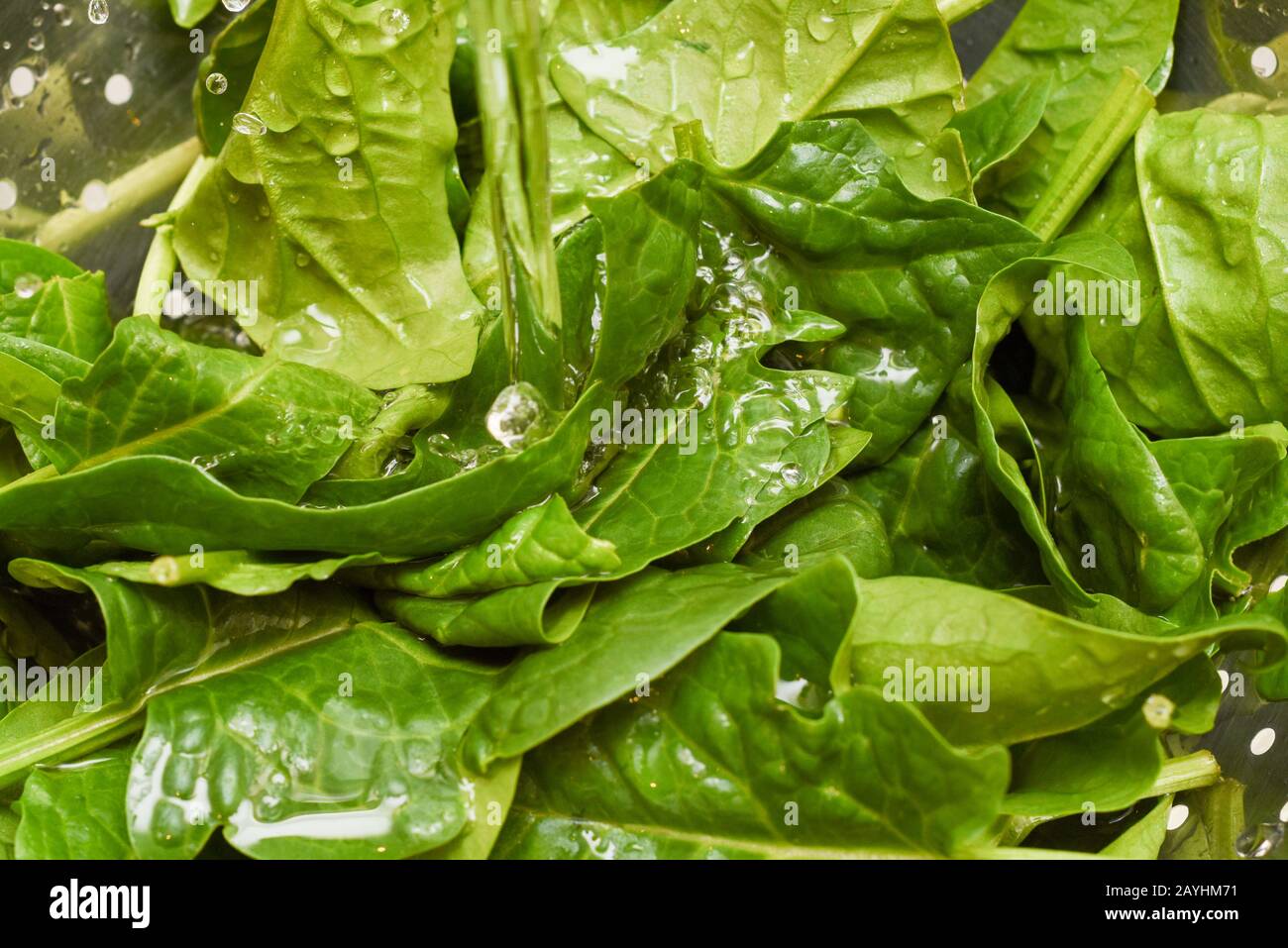 Épinards frais, épinards biologiques lavés à l'eau, source de nutrition et de vitamines pour une alimentation saine Banque D'Images