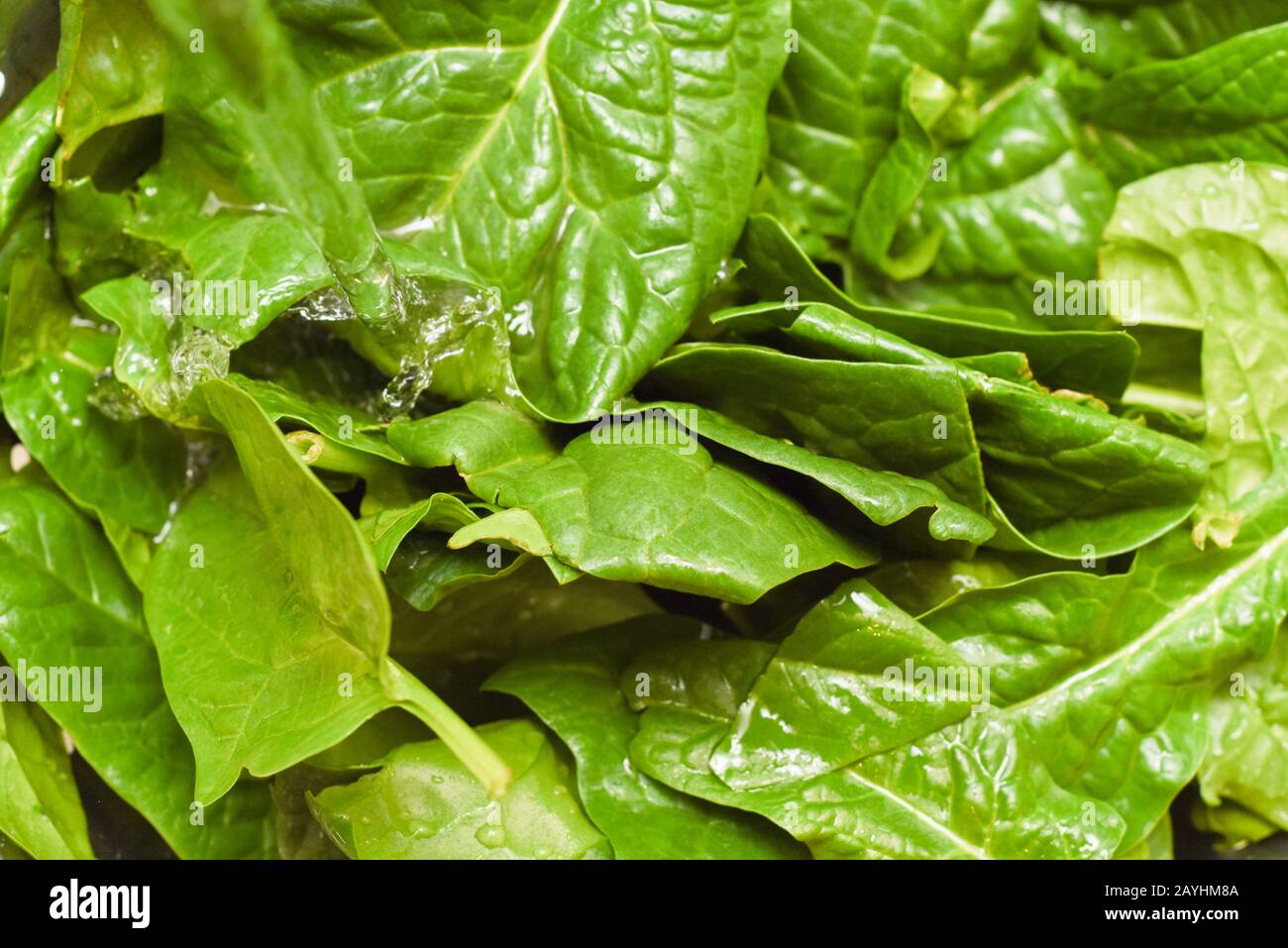 Épinards frais, épinards biologiques lavés à l'eau, source de nutrition et de vitamines pour une alimentation saine Banque D'Images