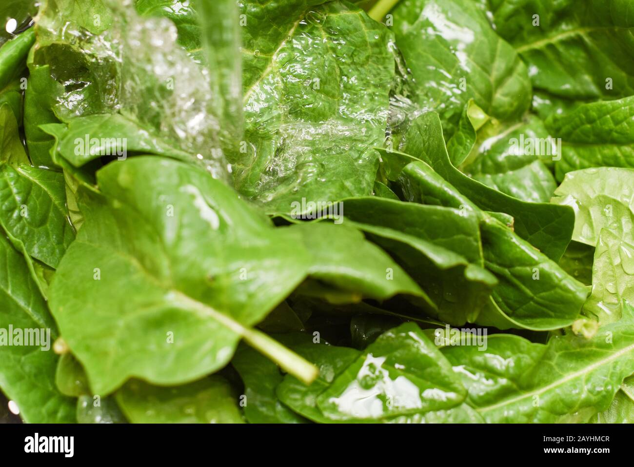 Épinards frais, épinards biologiques lavés à l'eau, source de nutrition et de vitamines pour une alimentation saine Banque D'Images
