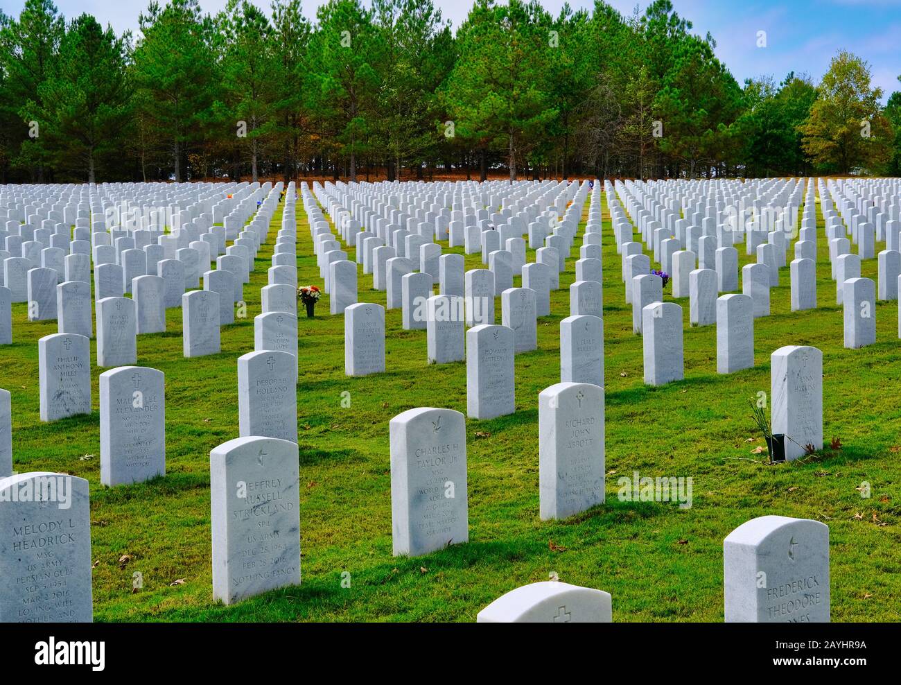 Lignes De Sépultures Militaires Banque D'Images