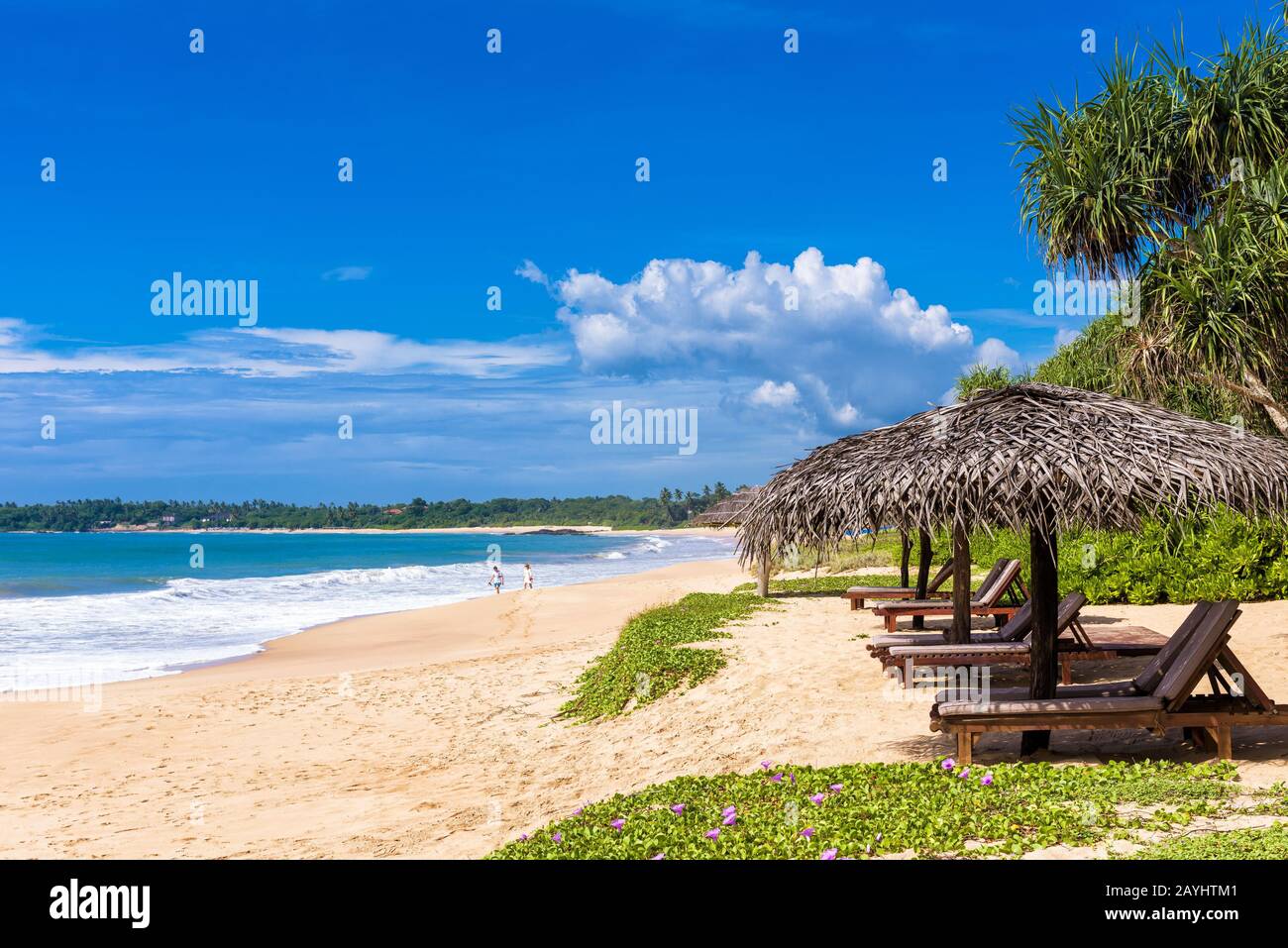 Lits de plage avec parasols sur la plage tropicale Banque D'Images