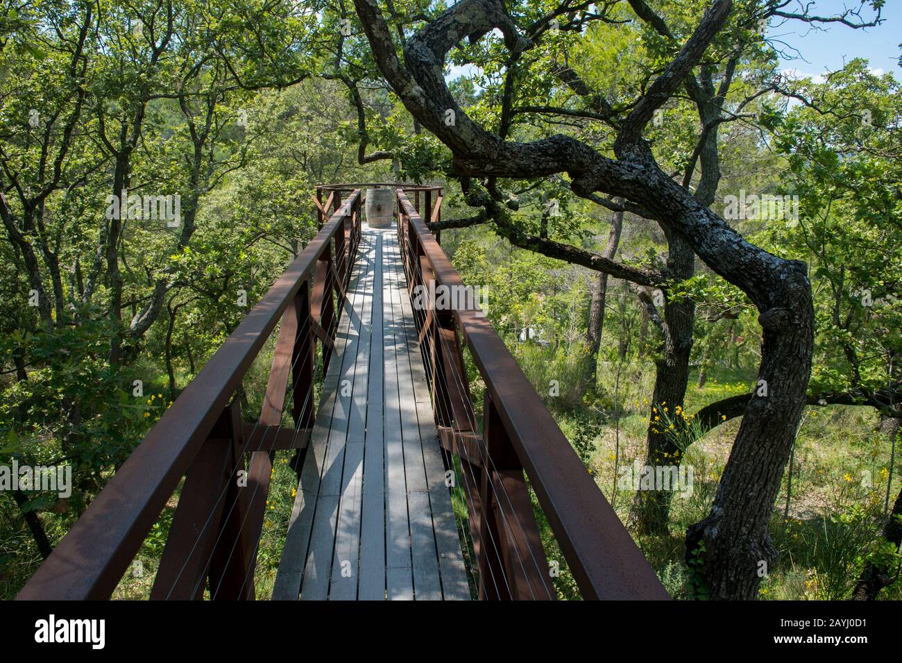 Œuvres d'art de Tracey Emin : Cat À L'INTÉRIEUR D'UN TONNEAU au Château la Coste près d'Aix-en-Provence en Provence, France. Banque D'Images