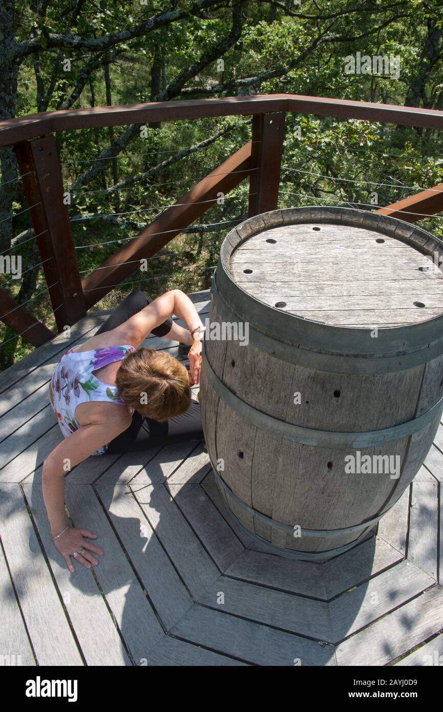 Une femme (Model Release 20020923-10) se transforme en tonneau, œuvre de Tracey Emin : chat À L'INTÉRIEUR D'UN TONNEAU au Château la Coste près d'Aix-en-Provence Banque D'Images