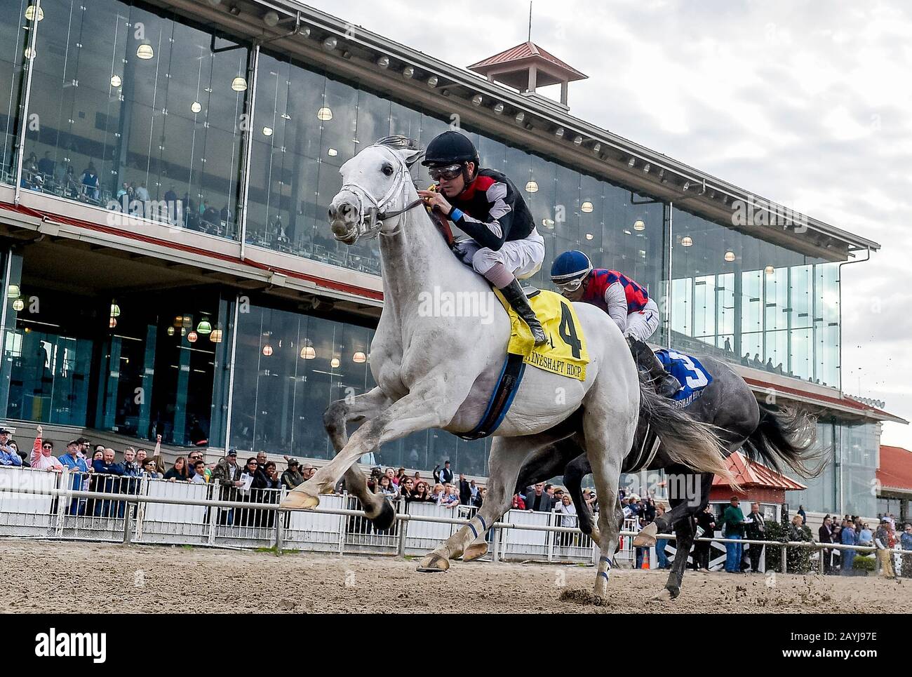 La Nouvelle-Orléans, États-Unis. 15 février 2020. 15 février 2020: #4 la Poussière d'argent et le jockey Brian Hernandez gagner la 3ème année Mineshaft prend le dessus #3 Gun It et jockey Ricardo Santana Jr. Pendant La Journée Des prises D'étoiles Ressuscité au Fair Grounds Race course à la Nouvelle-Orléans, Louisiane. Scott Serio/Eclipse Sportswire/Csm/Alay Live News Banque D'Images