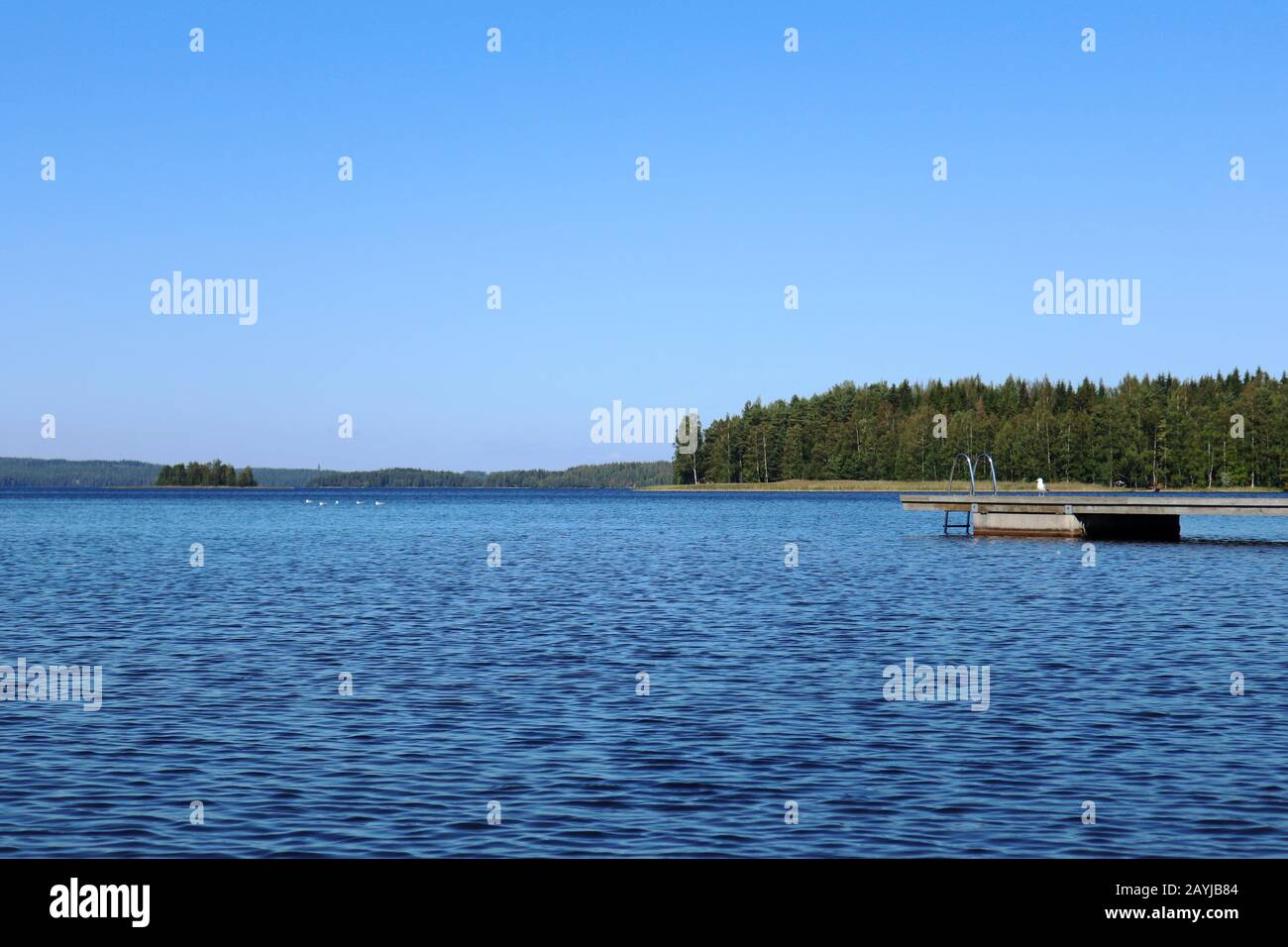 Quai de baignade en bois avec échelle en métal sur lac bleu calme journée ensoleillée sur la nature Finlande station naturelle idyllique Banque D'Images