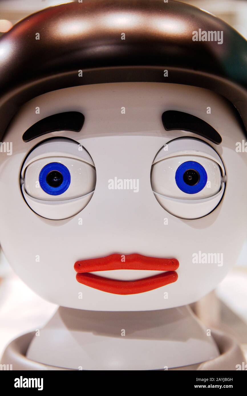 Floka Du Robot De Service Banque D'Images