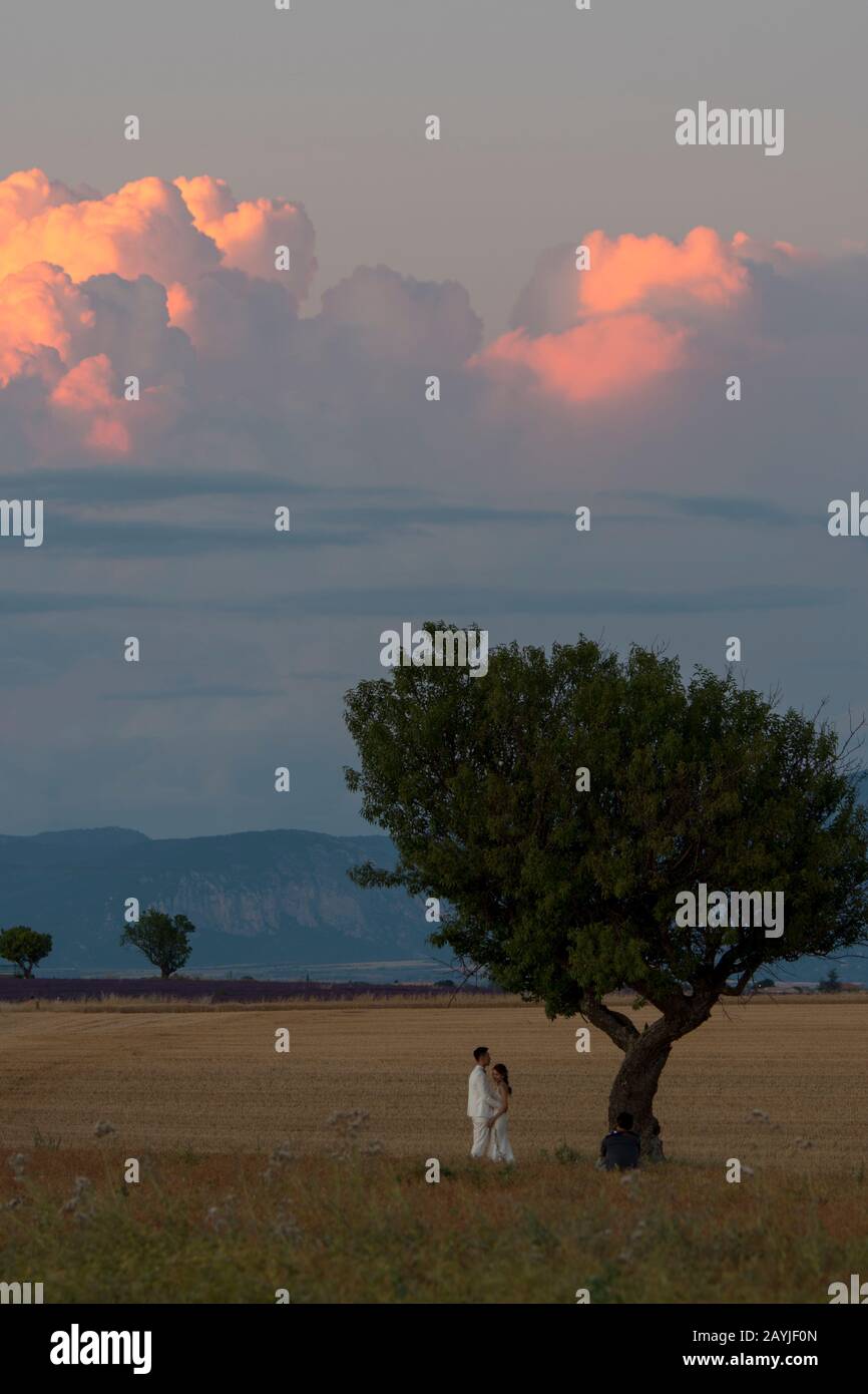 Une mariée et un marié chinois se pose sous un arbre avec orage (cumulonimbus nuage) en arrière-plan sur le plateau de Valensole près de digne-les-bain Banque D'Images