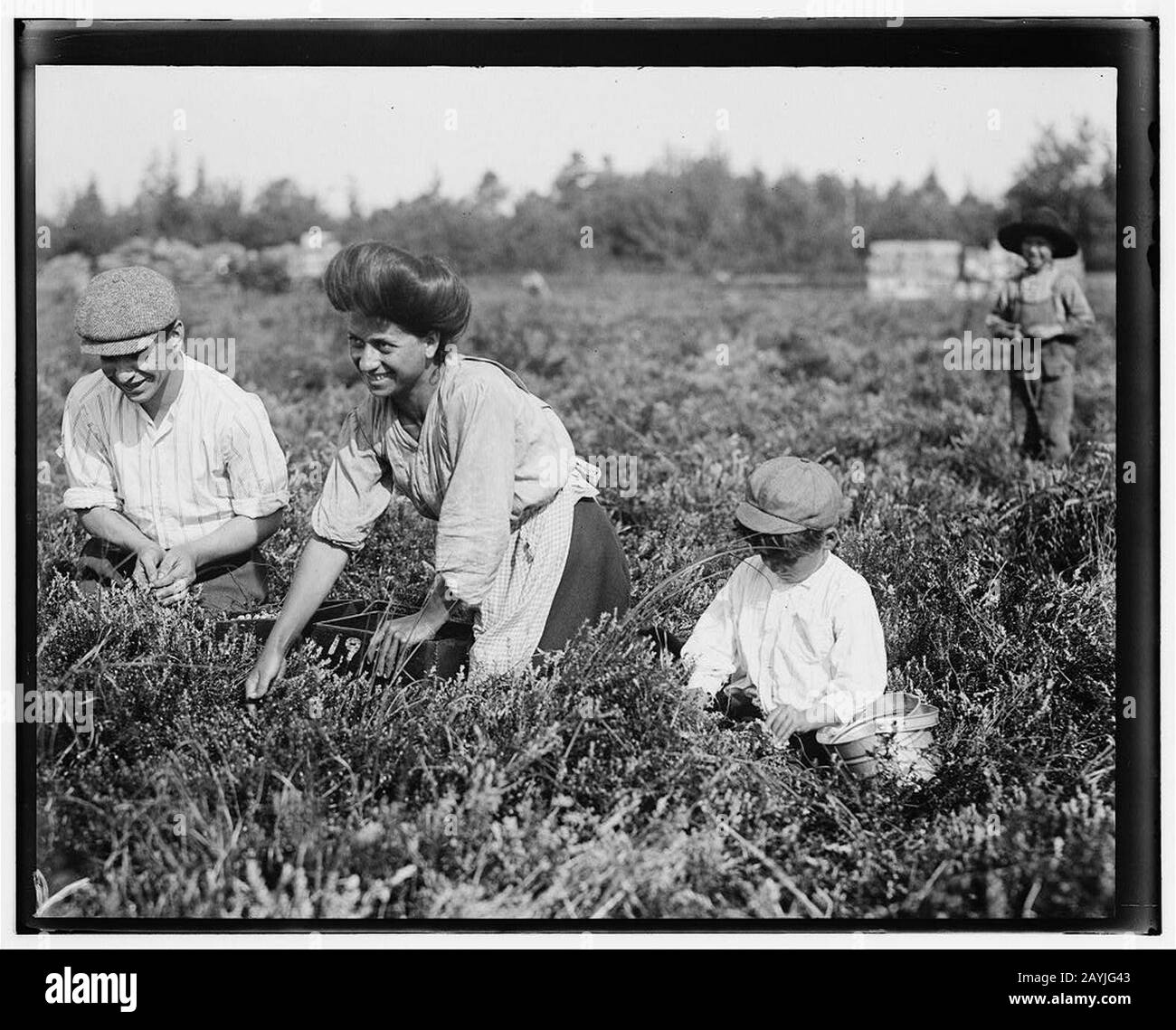 Fred Nozzecho, 604, Rue Annin, Philadelvial. Cinq ans. Choisir cette année. Theodore Budd's Bog à Turkeytown près de Pemberton, N.J. C'est la quatrième semaine de l'école à Philadelphie et Banque D'Images