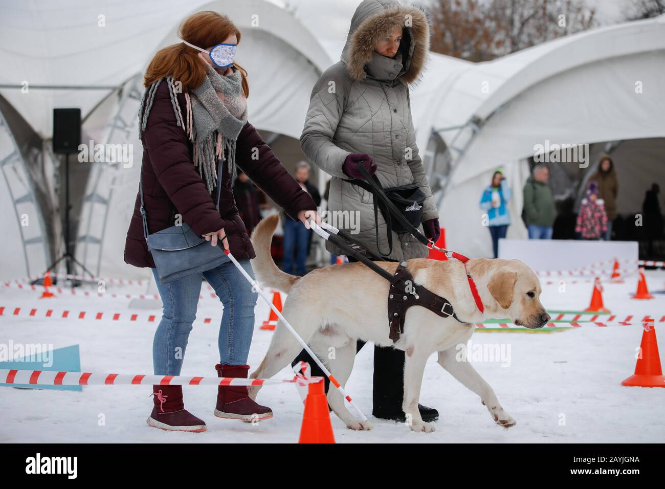 Moscou, Russie. 15 février 2020. Un chien-guide montre ses compétences lors du festival « My Dog Est un super-héros » à Moscou, en Russie, le 15 février 2020. Le festival « My Dog Est un super-héros » a eu lieu samedi à Moscou pour mettre en valeur les compétences des chiens de travail. Crédit: Maxim Chernavsky/Xinhua/Alay Live News Banque D'Images