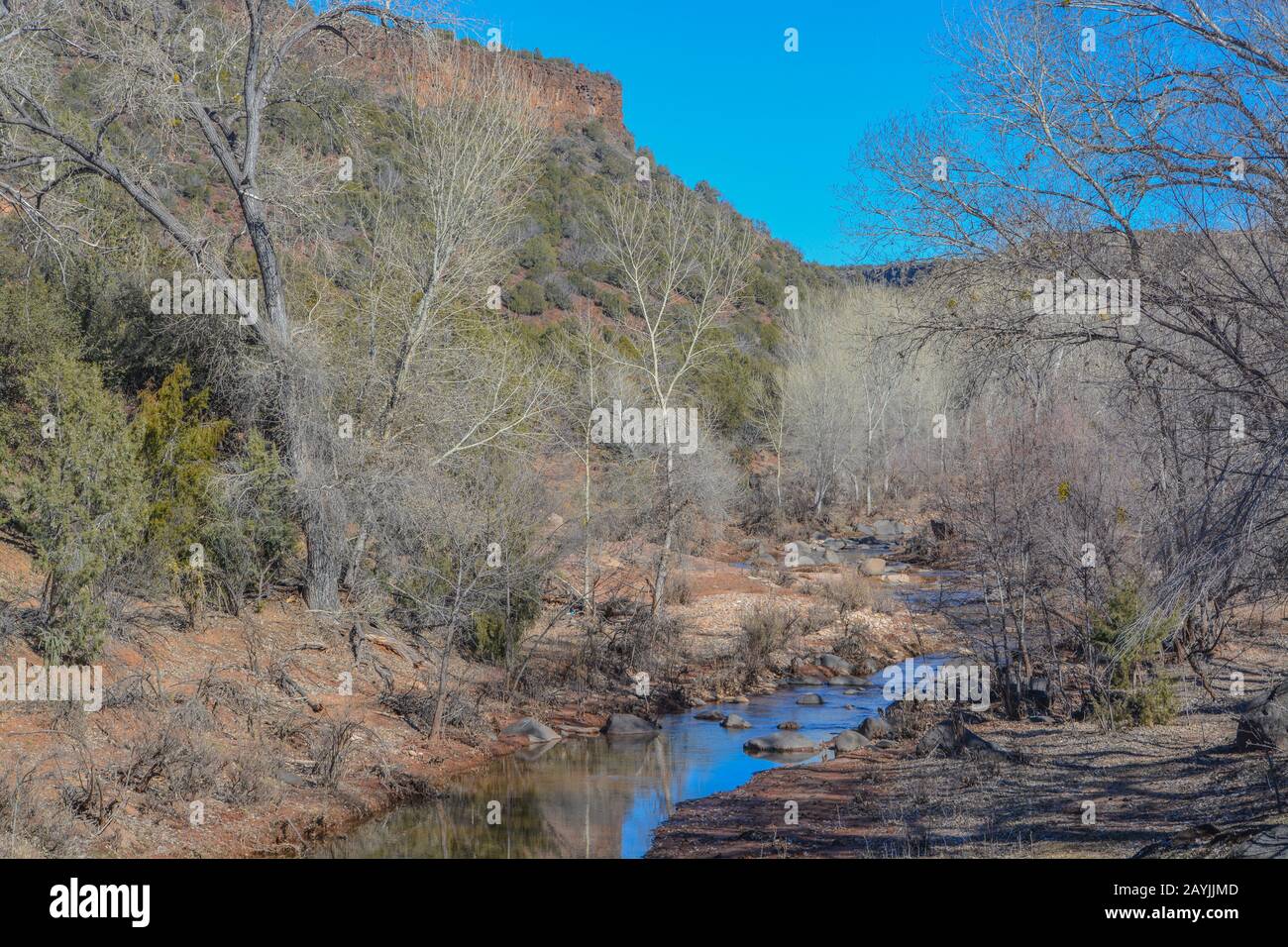 Carrizo Creek traversant Carrizo dans la réserve indienne de fort Apache, Carrizo, Arizona États-Unis Banque D'Images