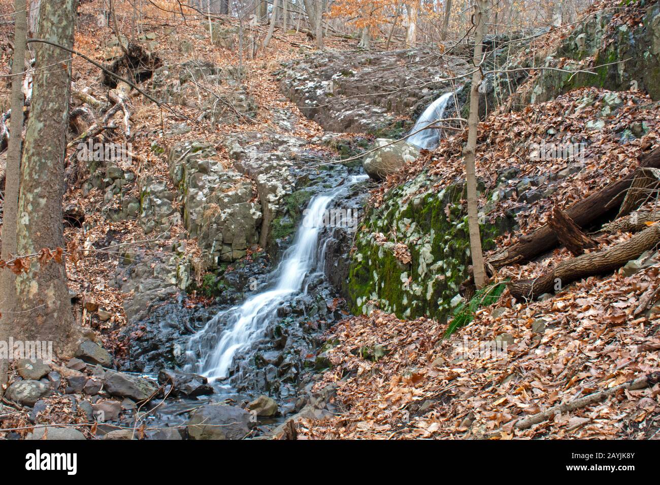 Une petite chute d'eau sans nom près de Hemlock Falls dans South Mountain Reservation et une partie des montagnes Watchung, dans le comté d'Essex, New Jersey, États-Unis. -03 Banque D'Images