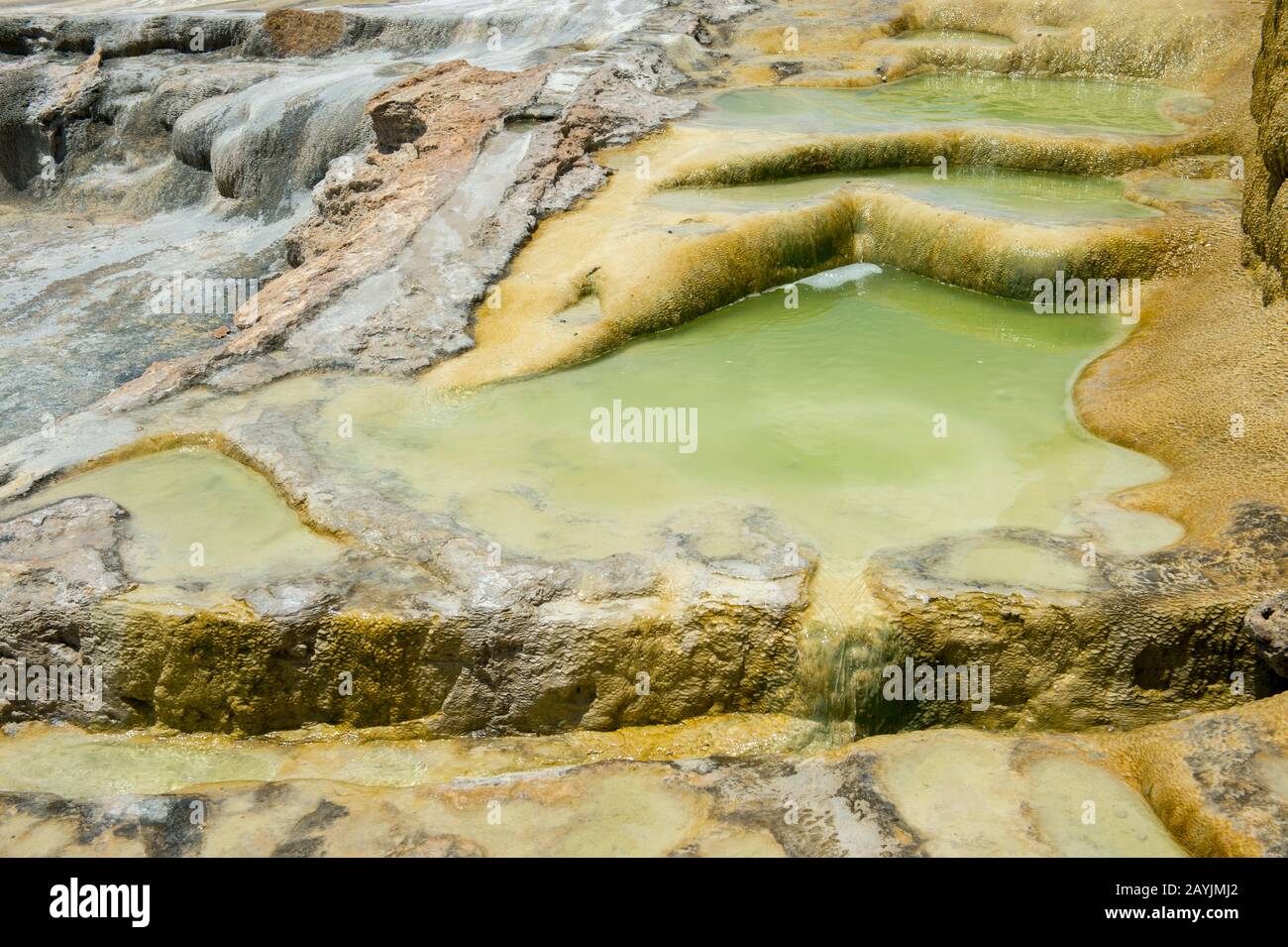 Détail du carbonate de calcium et d'autres gisements minéraux à Hierve el Agua près d'Oaxaca, au sud du Mexique. Banque D'Images