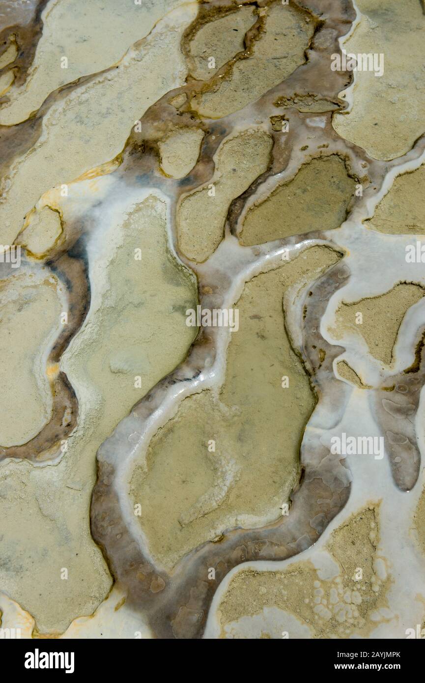 Détail du carbonate de calcium et d'autres gisements minéraux à Hierve el Agua près d'Oaxaca, au sud du Mexique. Banque D'Images