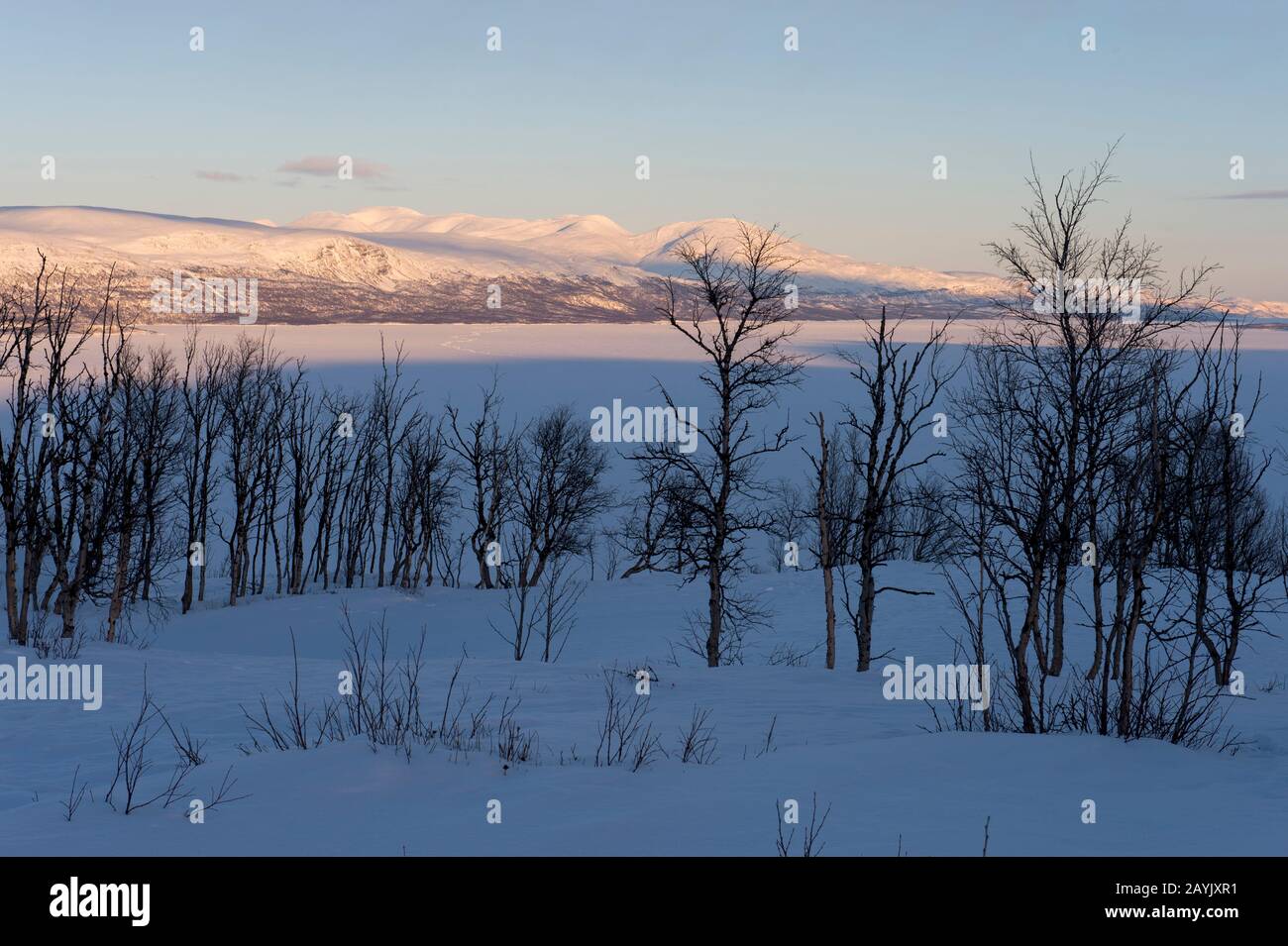 Vue depuis la zone de l'hôtel Fjallet du lac Tornetrask, gelé et enneigé, en Laponie suédoise, dans le nord de la Suède. Banque D'Images