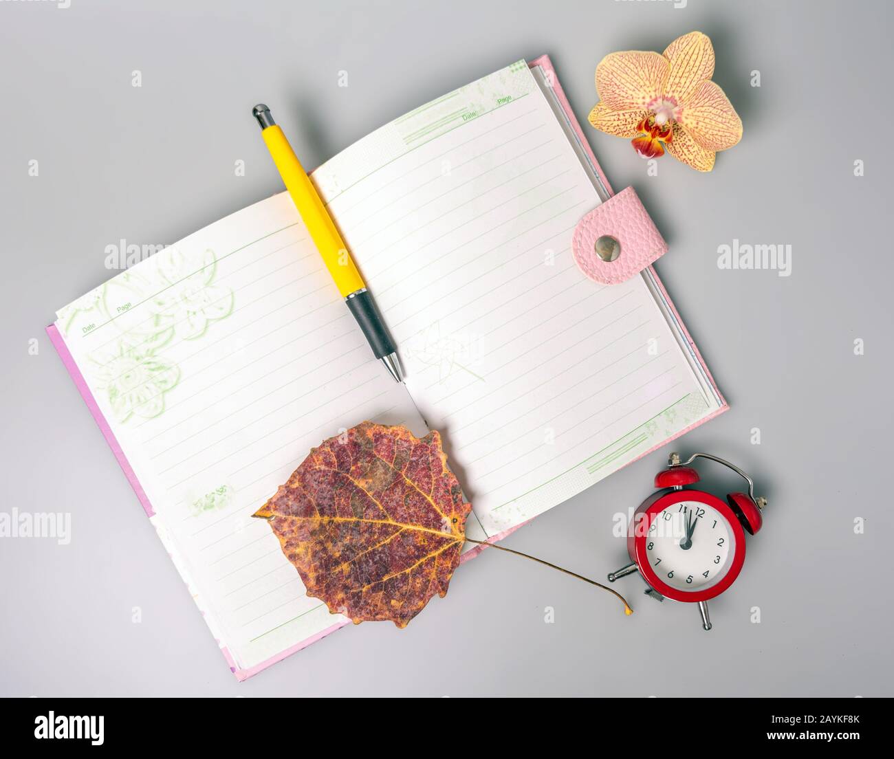 La feuille séchée et le stylo se trouvent sur un ordinateur portable ouvert. Le réveil rappelle l'heure. Bureau. Fournitures scolaires. Placer pour le texte. Vue de dessus. Banque D'Images