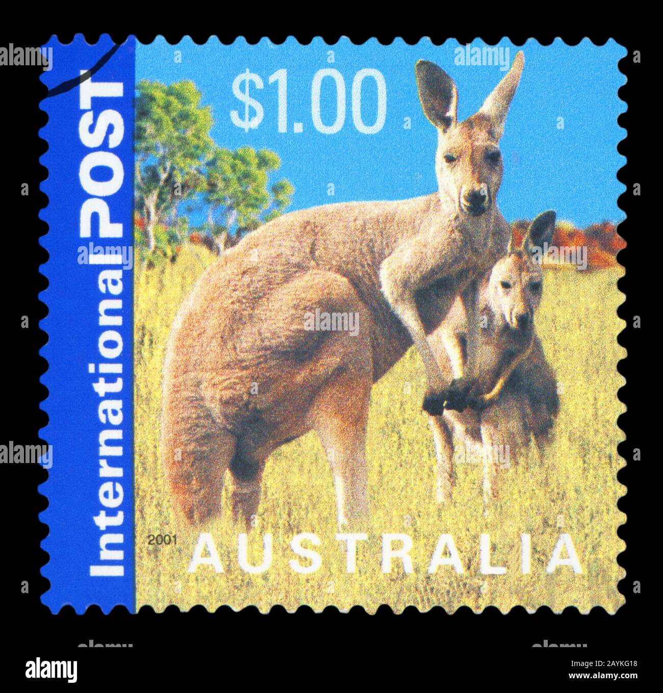 L'AUSTRALIE - circa 2001 : timbre imprimé en Australie montre kangourous, série, vers 2001 Banque D'Images