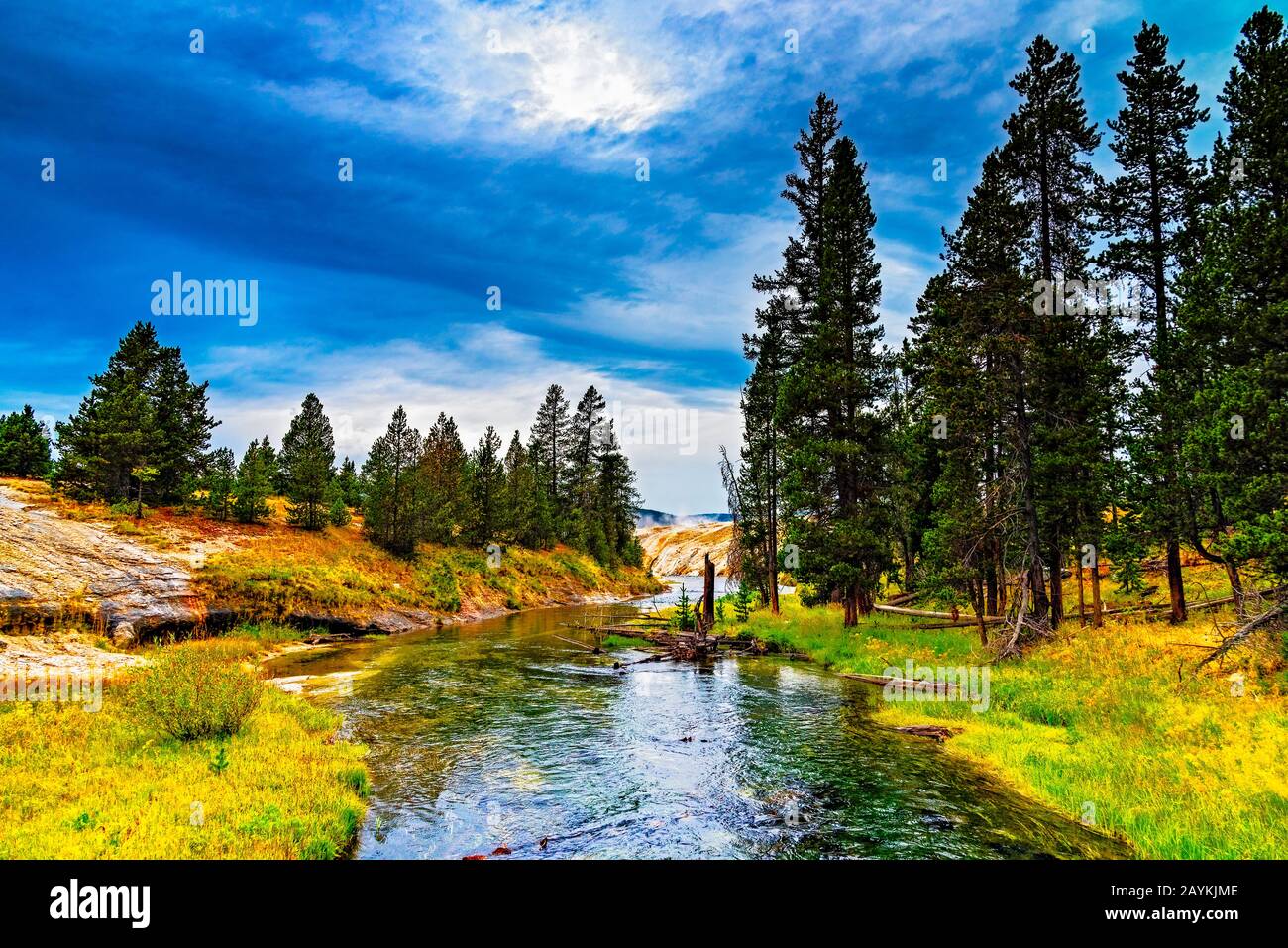 Rivière peu profonde traversant des prés verts et de grands arbres forestiers sous un ciel bleu avec des nuages blancs. Banque D'Images