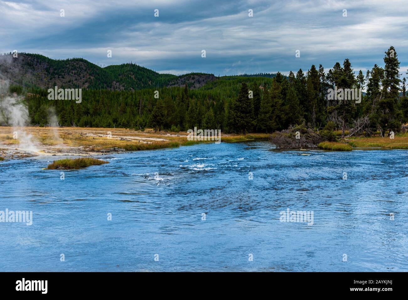 Air frais et eau propre avec forêt verte et prairies dorées sous ciel bleu avec nuages blancs. Banque D'Images