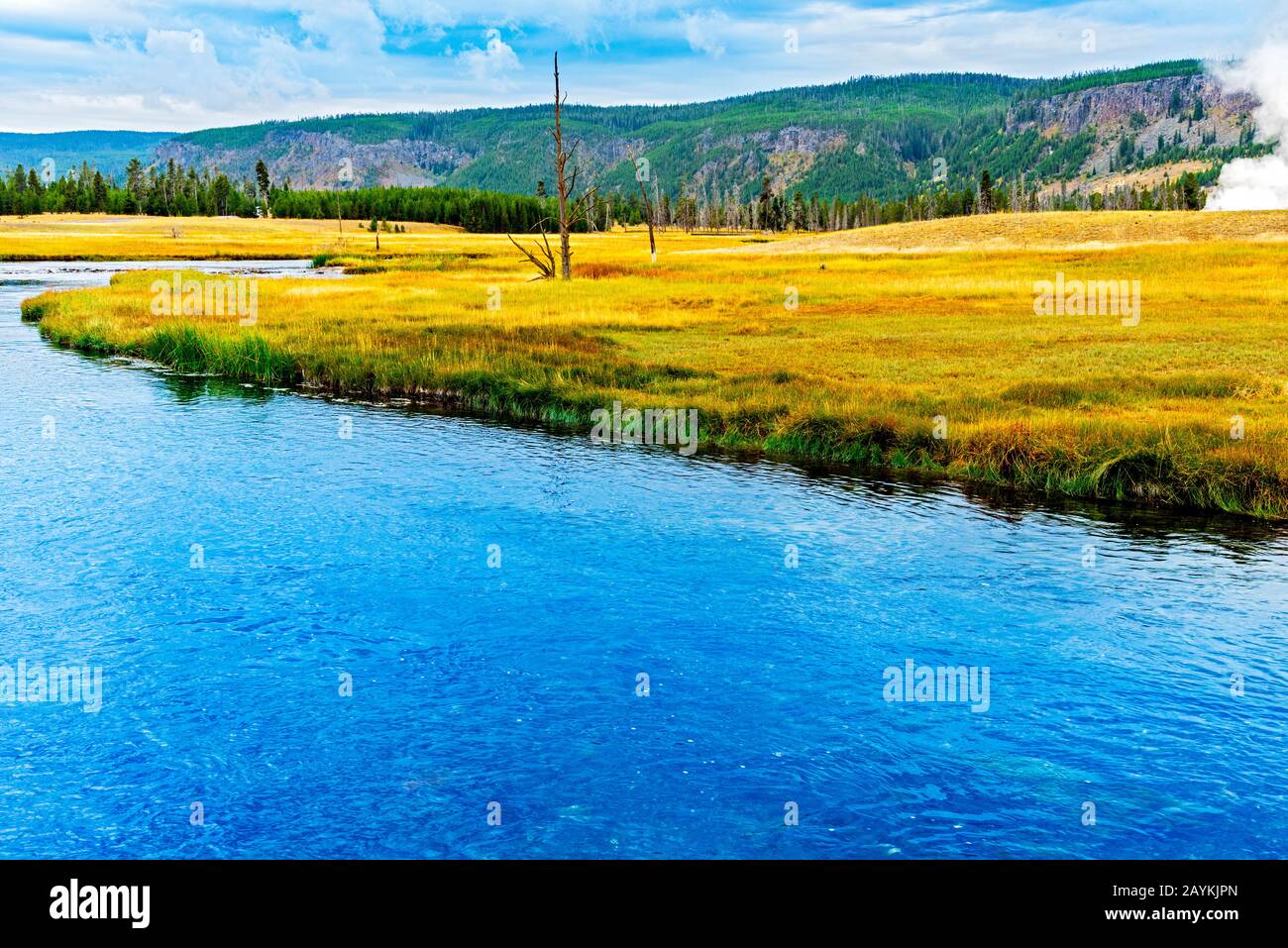 Environnement naturel paisible et rafraîchissant, lac bleu, prairies verdoyantes et montagnes sous un ciel bleu avec des nuages blancs moelleux. Banque D'Images
