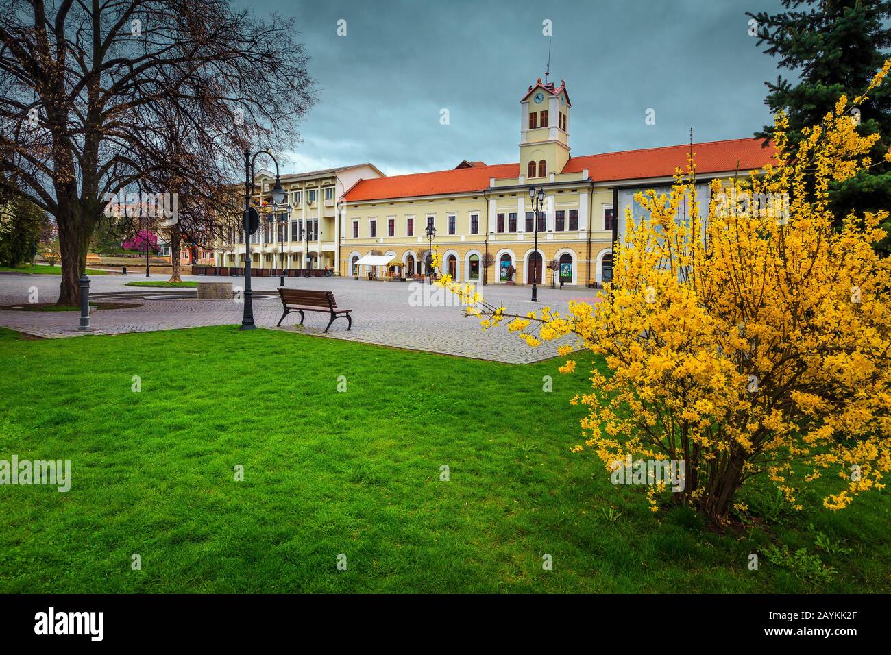 Fantastique printemps saisonnier décoration de rue spécifique avec des labournums jaunes dans le parc de la ville. Endroit pavé avec tour d'horloge dans le centre-ville, Sfantu G Banque D'Images
