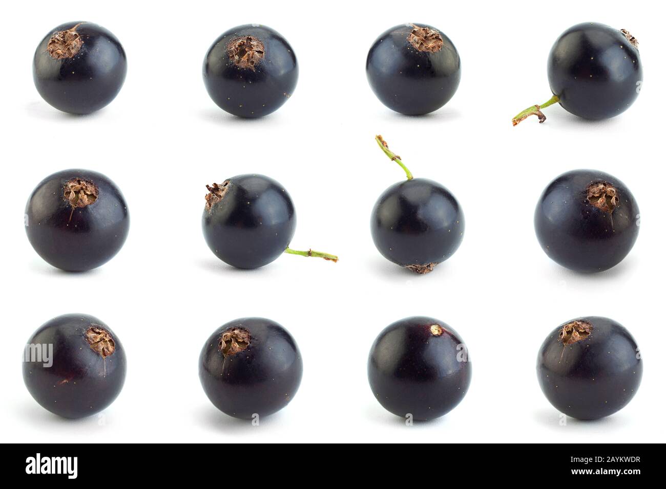 Des baies de cassis se rapprochant isolées sur fond blanc Banque D'Images