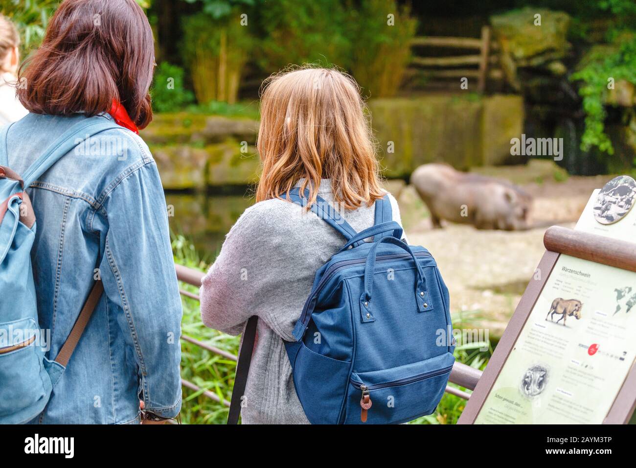 18 MAI 2018, BERLIN, ALLEMAGNE : panneau d'information touristique sur la lecture des femmes avec des informations brèves sur les espèces animales dans le zoo de Berlin Banque D'Images