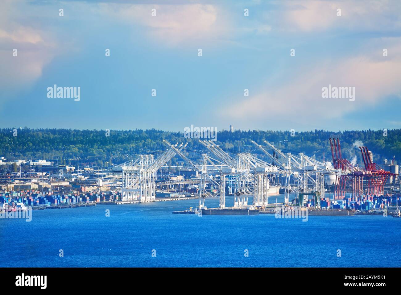 Port de Seattle avec grues et quais pour les navires au-dessus d'Elliot Bay, Washington, États-Unis Banque D'Images